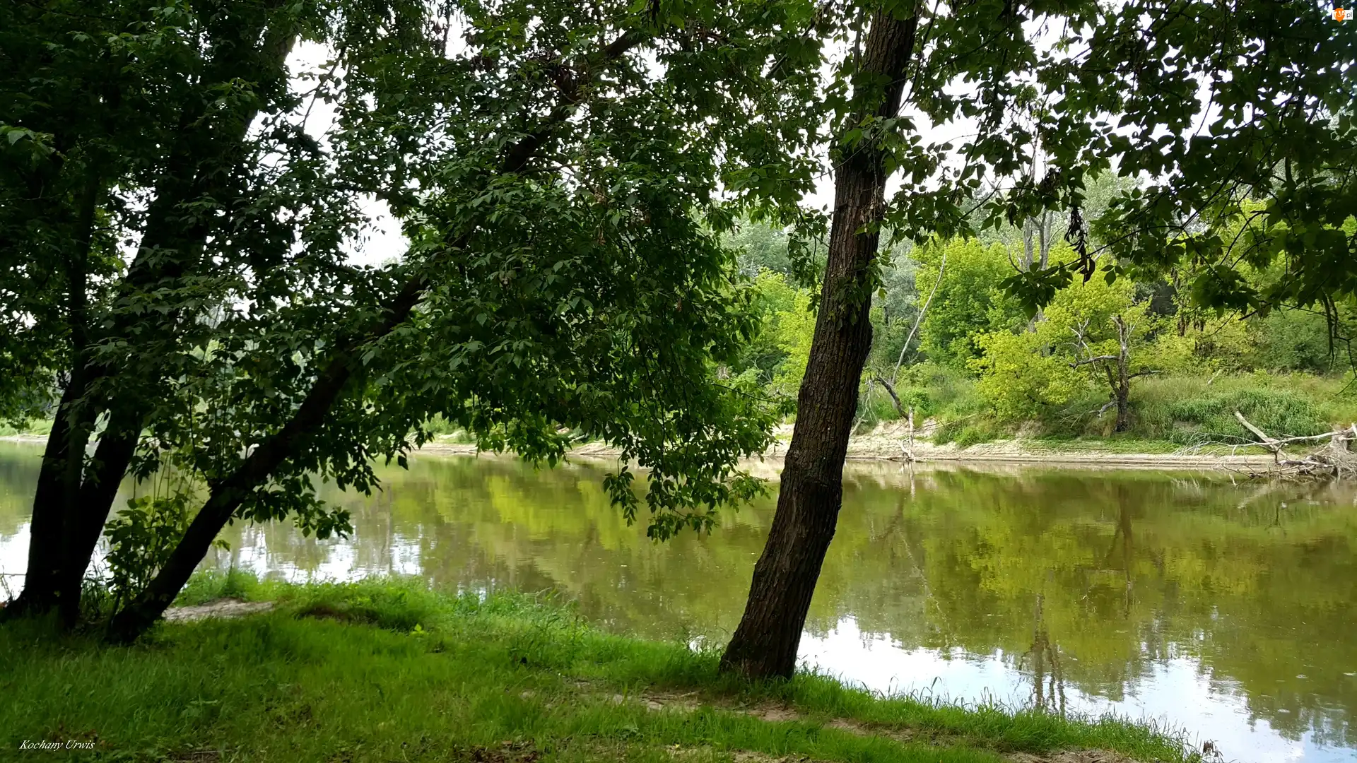 Drzewa, Rzeka