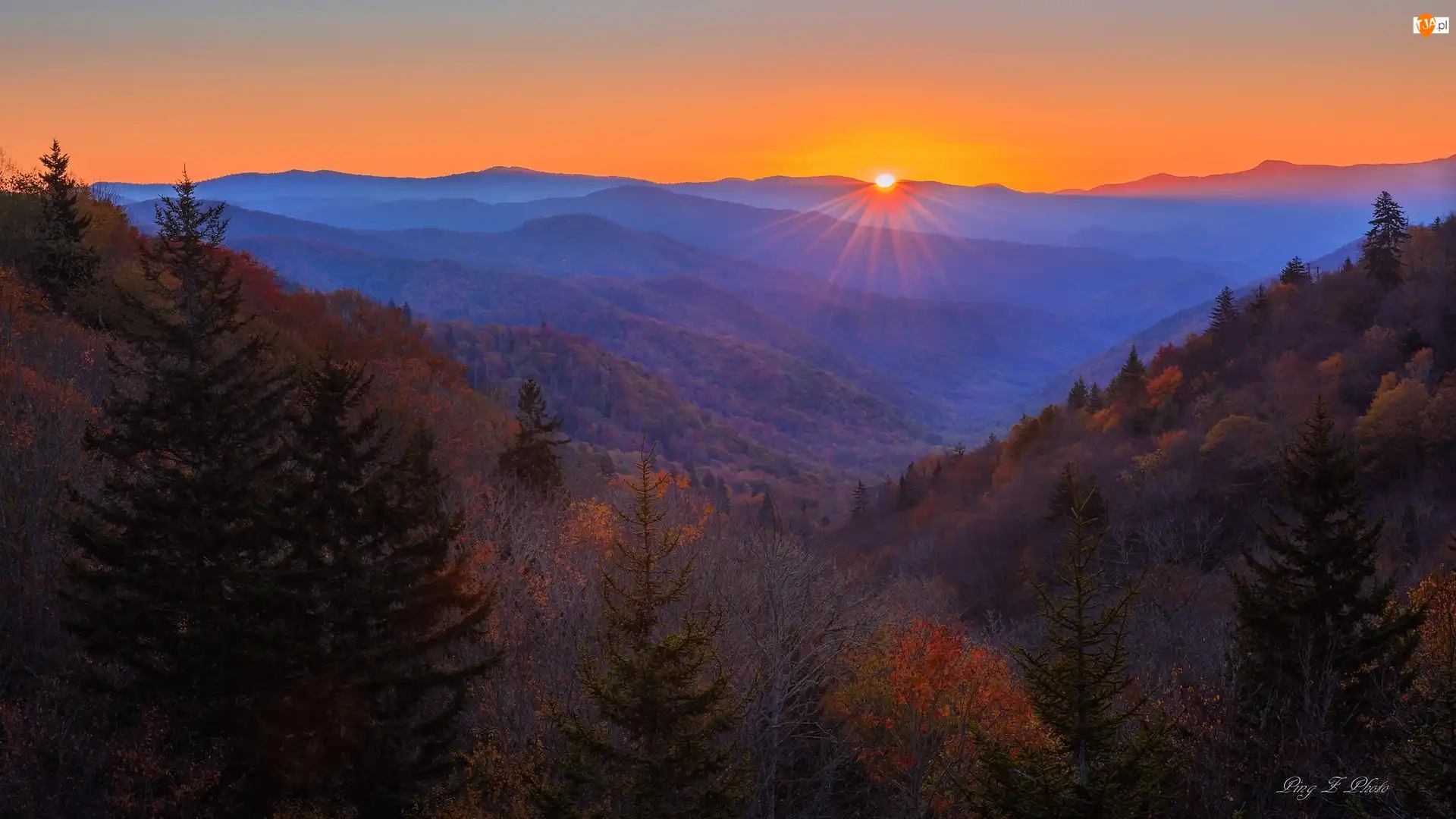 Stan Karolina Północna, Park Narodowy Great Smoky Mountains, Las, Stany Zjednoczone, Wschód słońca, Great Smoky Mountains, Góry