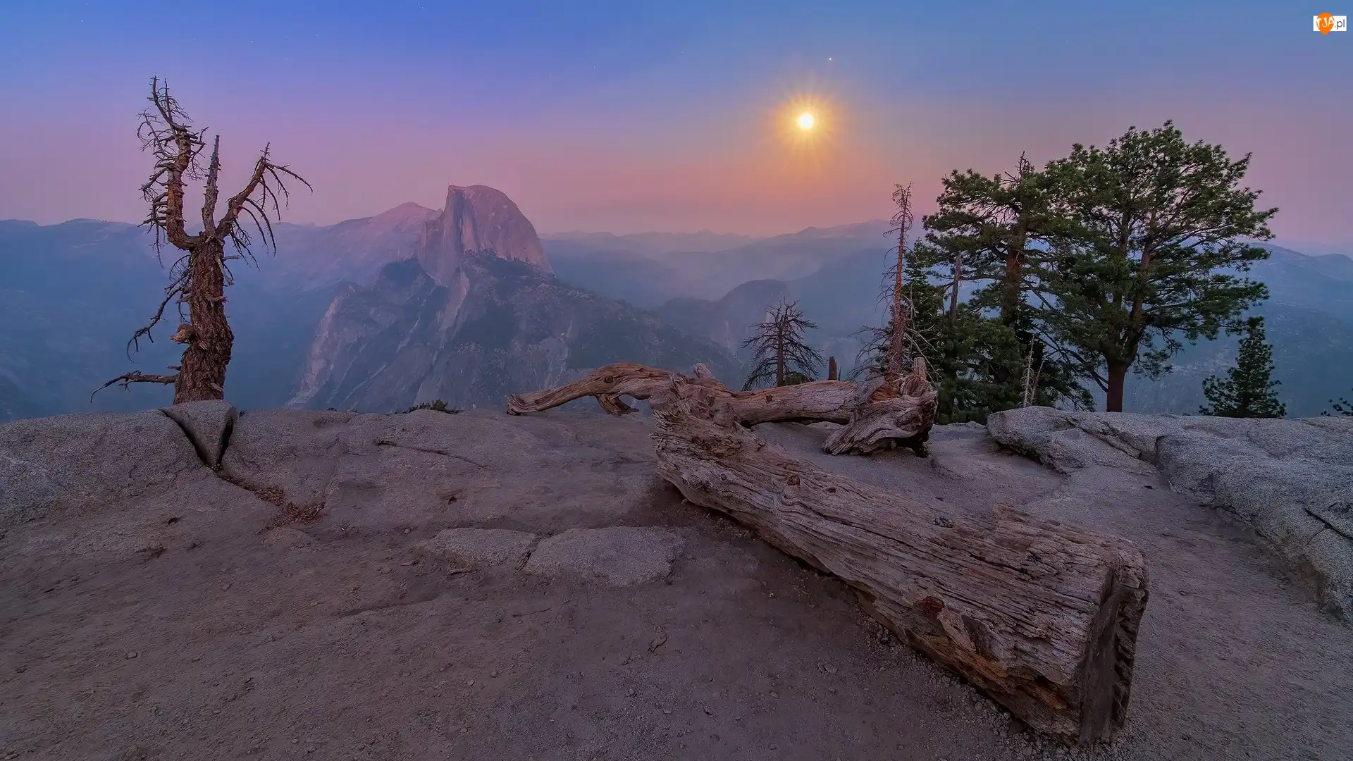 Stany Zjednoczone, Skały, Kalifornia, Mgła, Park Narodowy Yosemite, Drzewa, Suchy, Góry, Konar