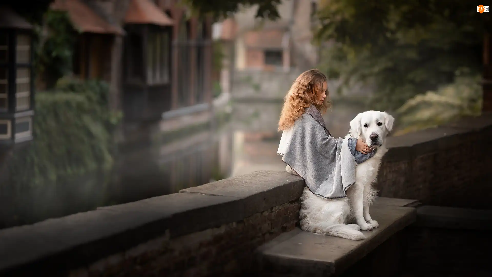 Murek, Dziewczynka, Pies, Golden retriever