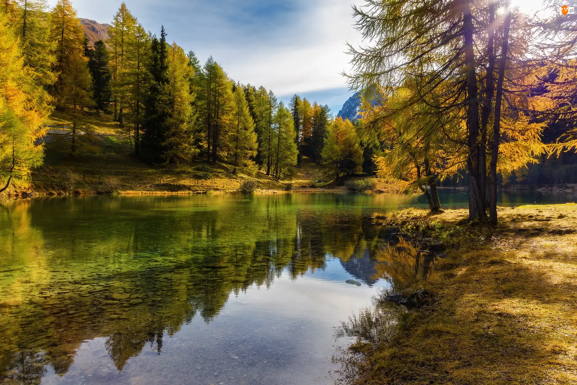 Jesień, Jezioro Lai da Palpuogna, Park przyrodniczy Ela, Szwajcaria, Drzewa, Kanton Gryzonia
