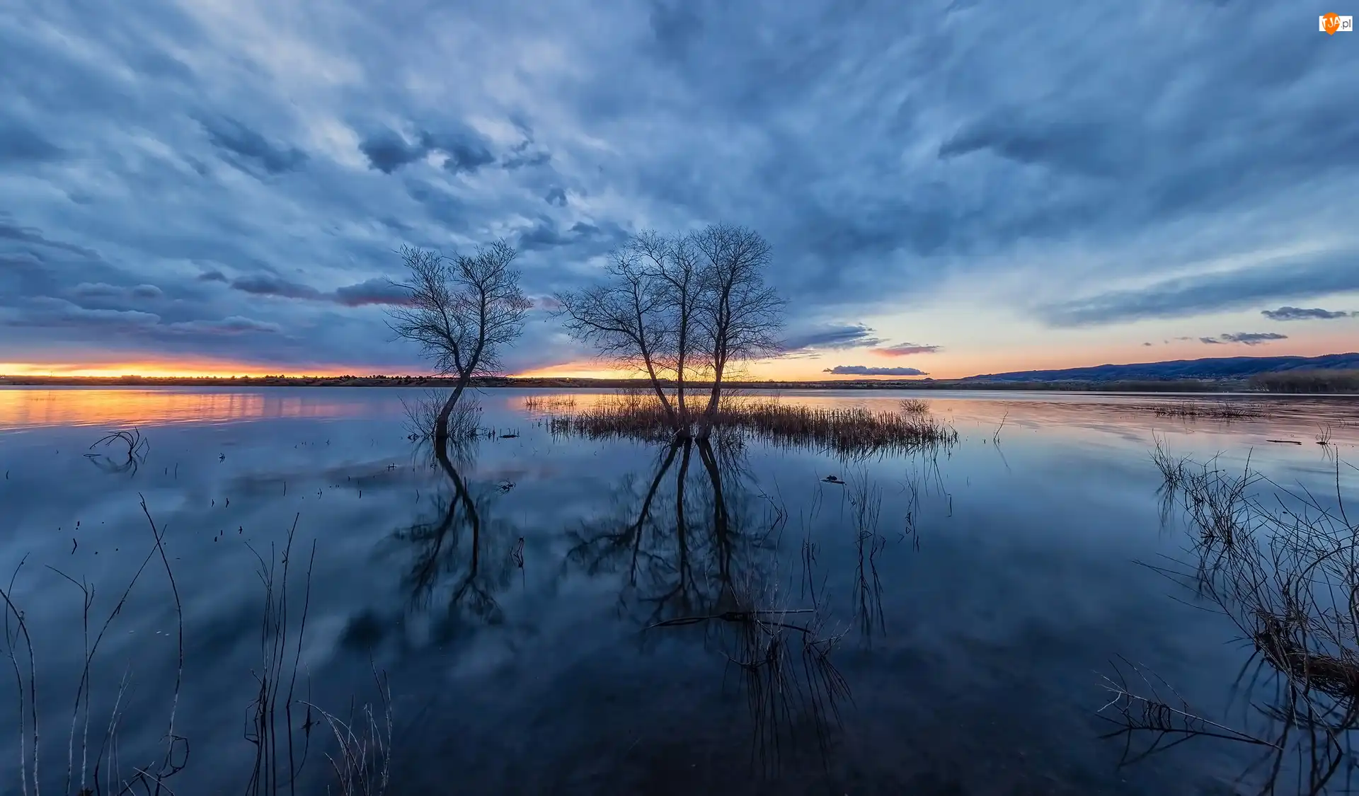 Chatfield Lake, Drzewa, Stany Zjednoczone, Jezioro, Kolorado, Park stanowy Chatfield, Zachód słońca