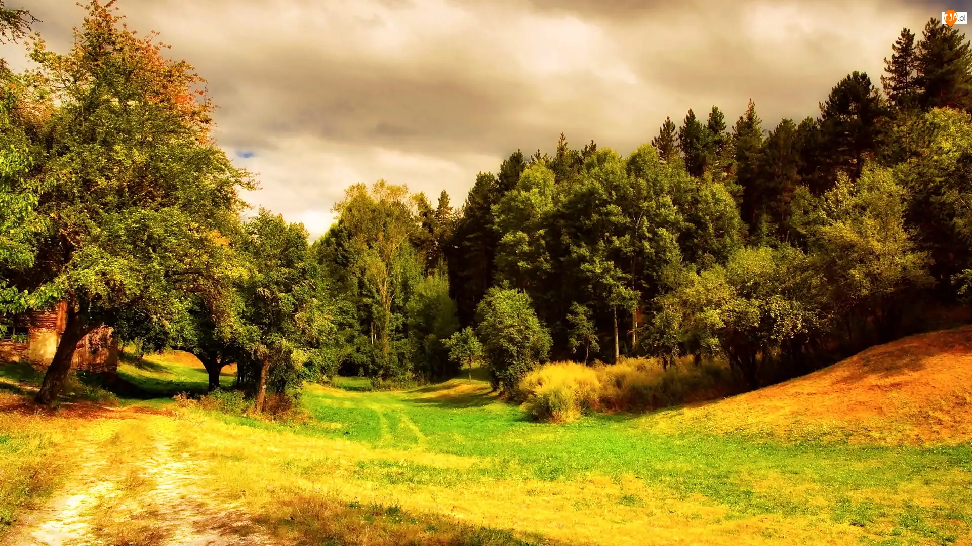 Chmury, Las, Łąka