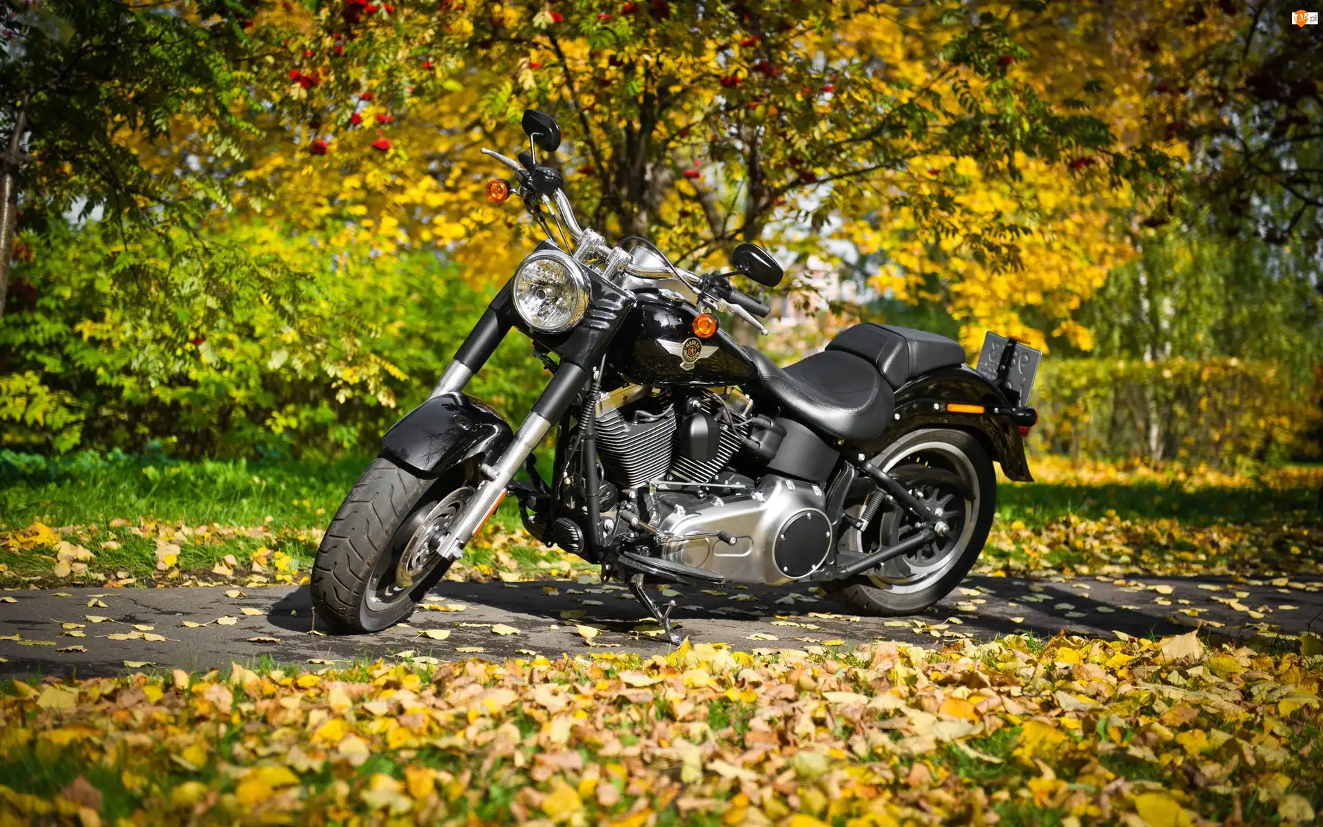 Liście, Motocykl
