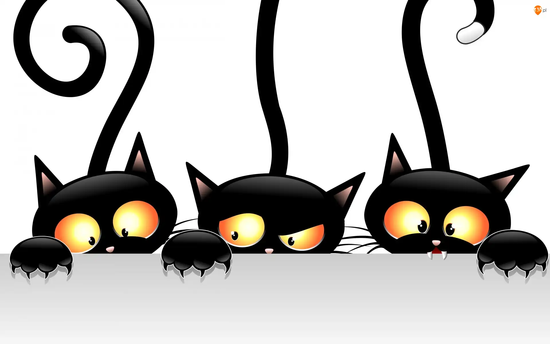 Koty, Grafika 2D, Czarne