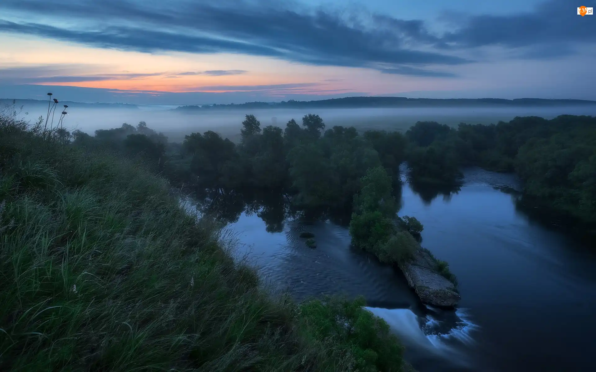 Drzewa, Mgła, Rzeka, Trawa
