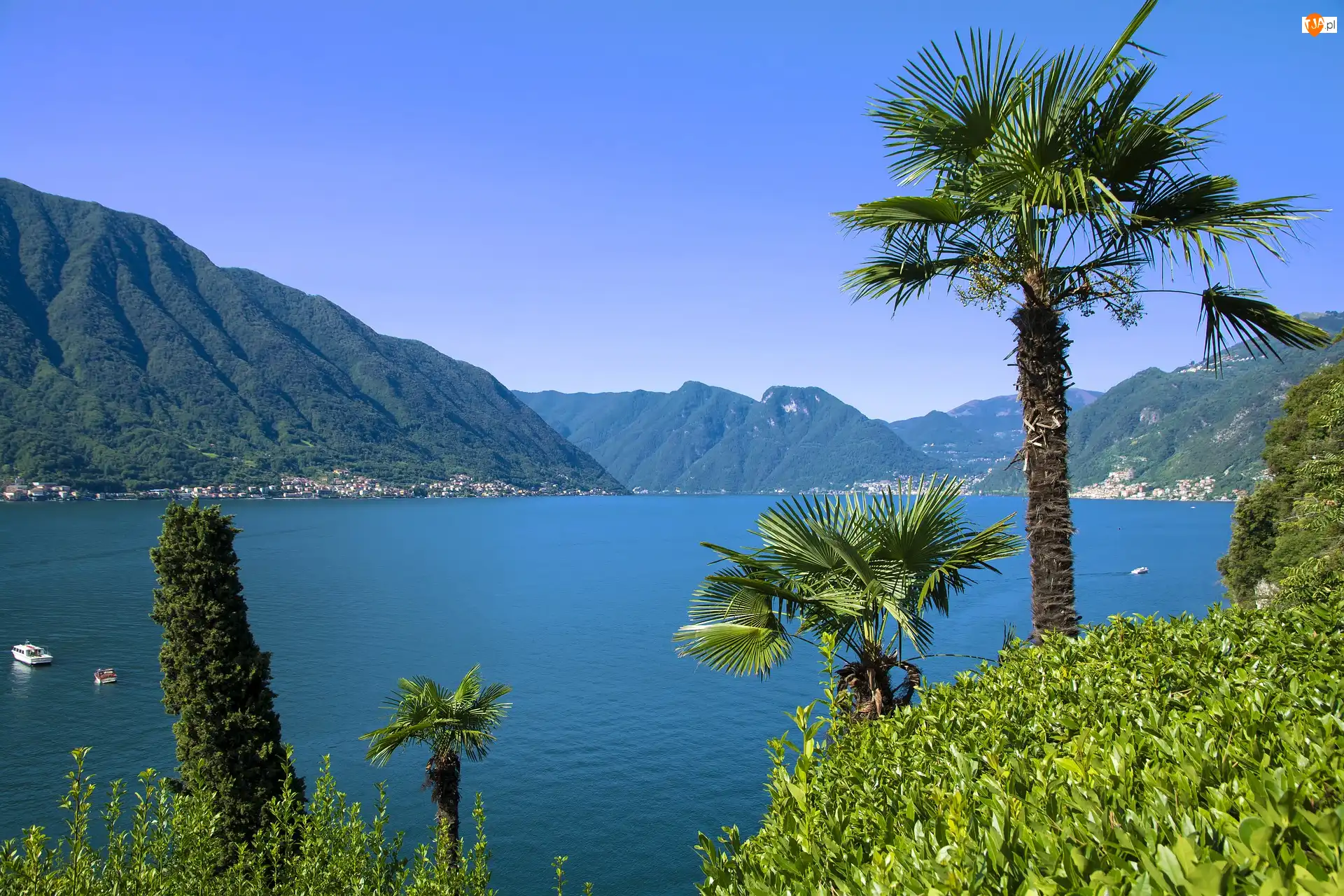 Lombardia, Jezioro, Alpy, Włochy, Góry, Palmy, Como Lake