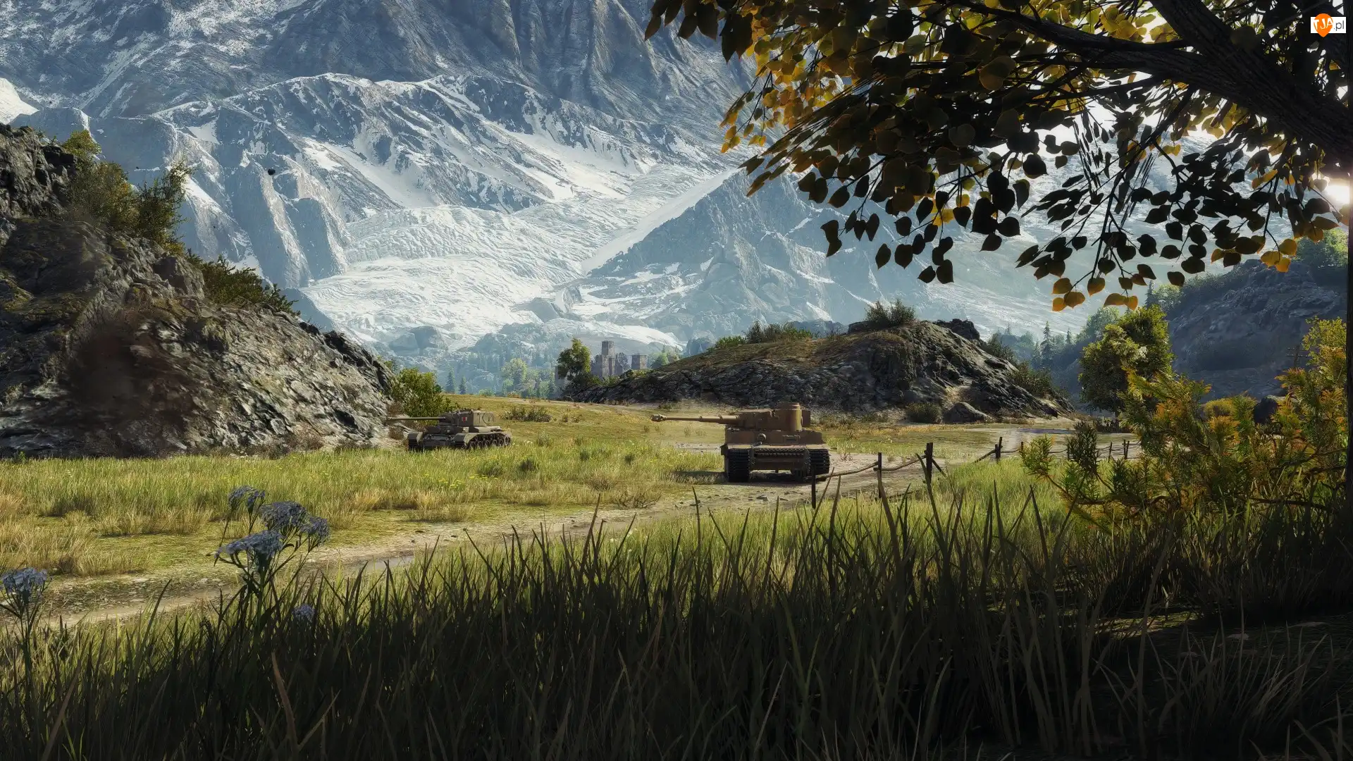 Góry, World of Tanks, Czołgi
