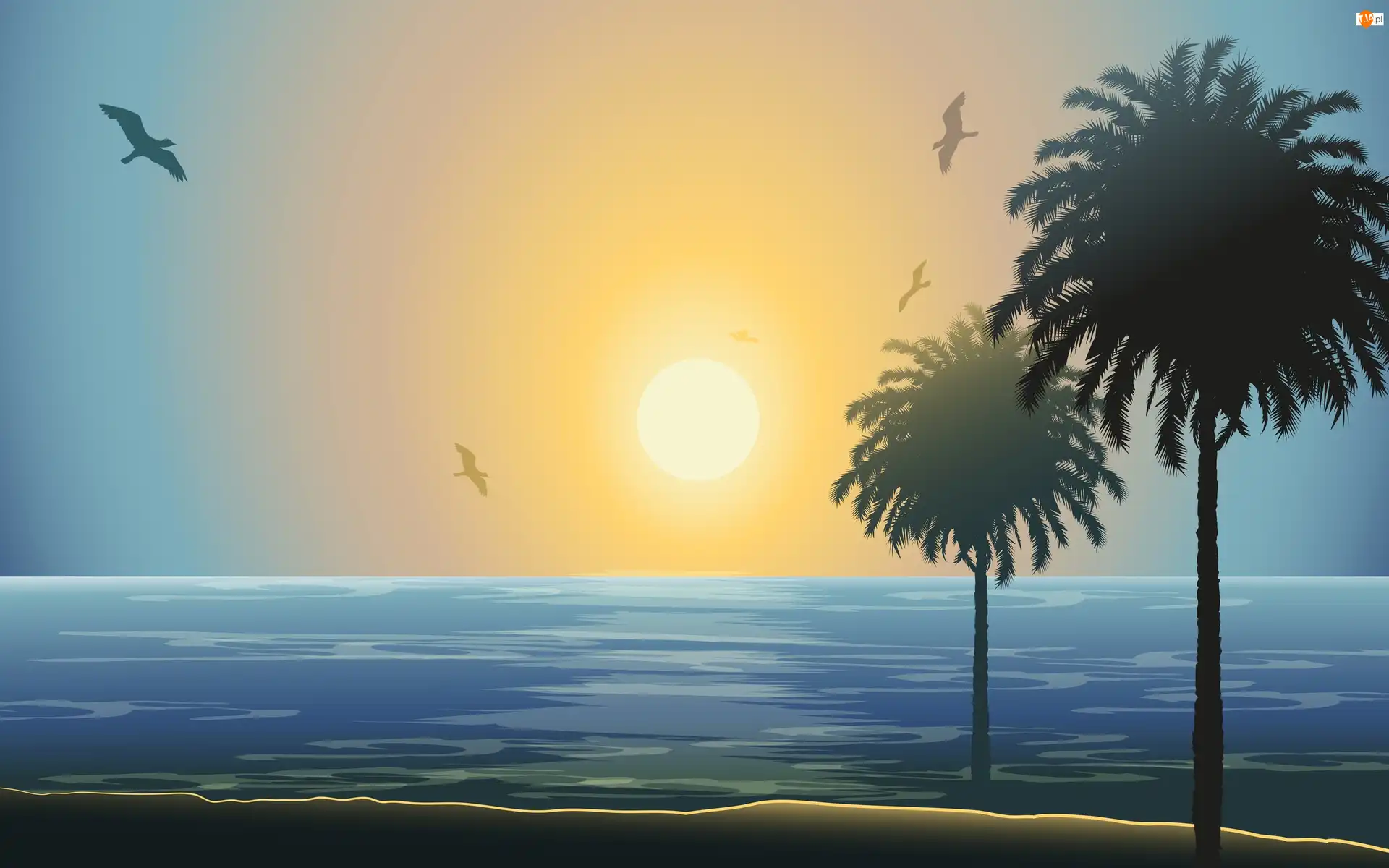 Plaża, Palmy, 2D, Morze, Słońca, Zachód, Ptaki