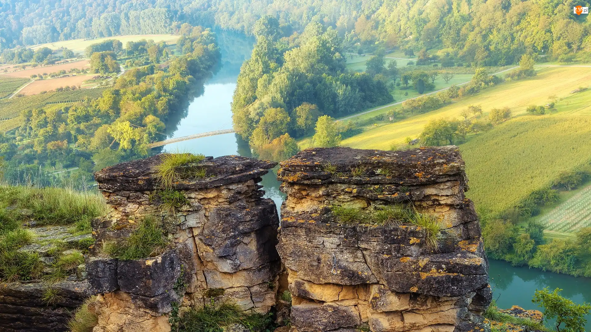 Niemcy, Mgła, Hessigheim, Las, Most, Skały, Winnice, Rzeka Neckar, Drzewa, Badenia-Wirtembergia