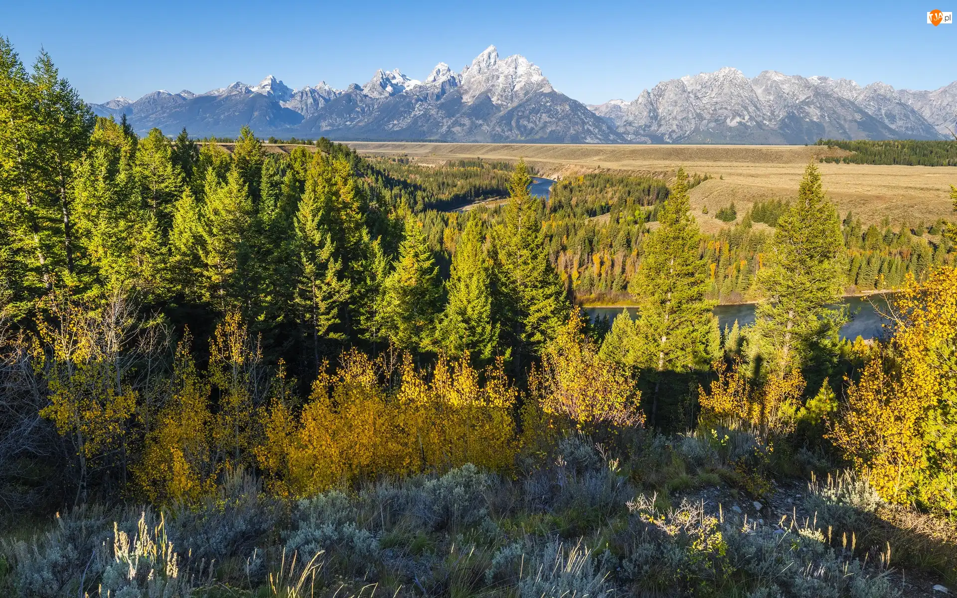 Rzeka Snake River, Park Narodowy Grand Teton, Las, Stan Wyoming, Góry, Drzewa, Stany Zjednoczone, Teton Range