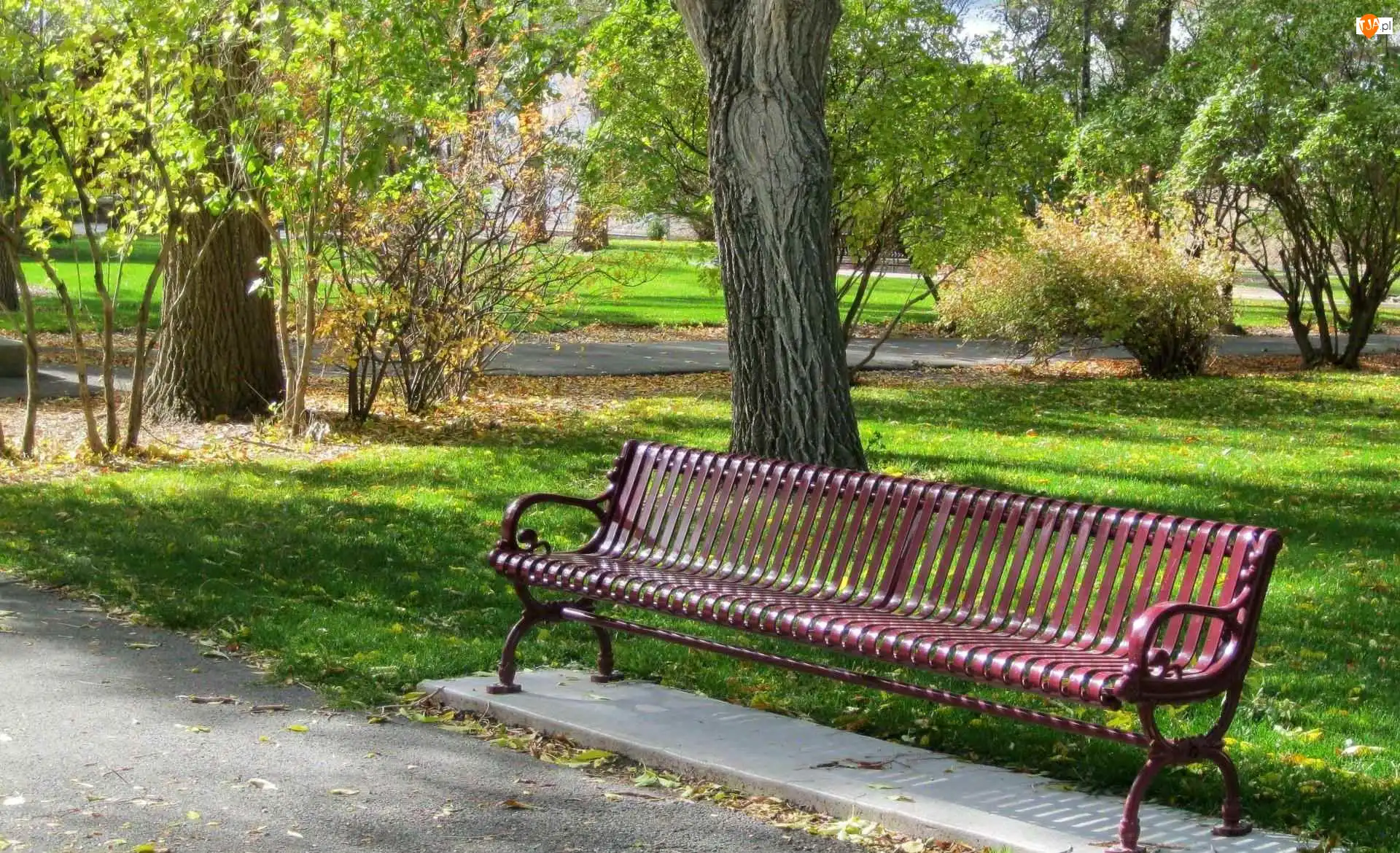 Ławka, Park