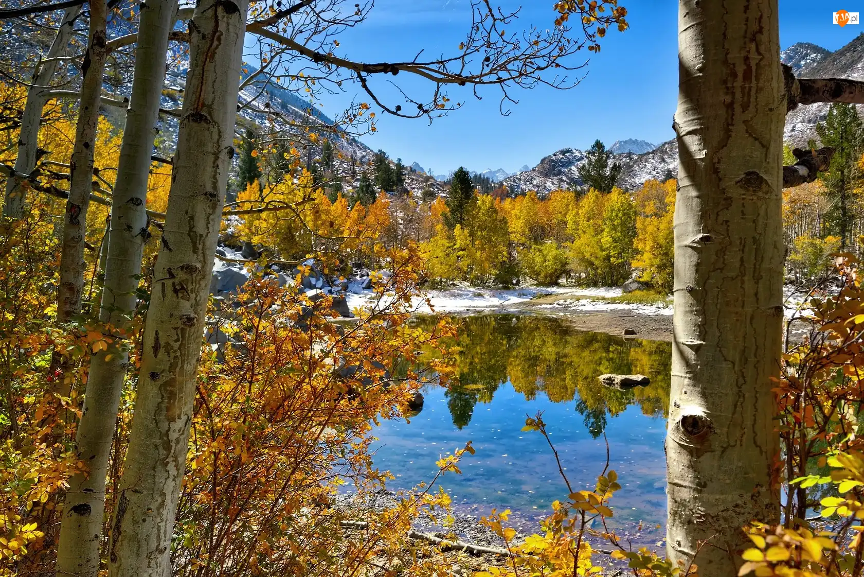 Stan Kalifornia, Stany Zjednoczone, Jezioro, Drzewa Jezioro, Park Narodowy Yosemite, Góry