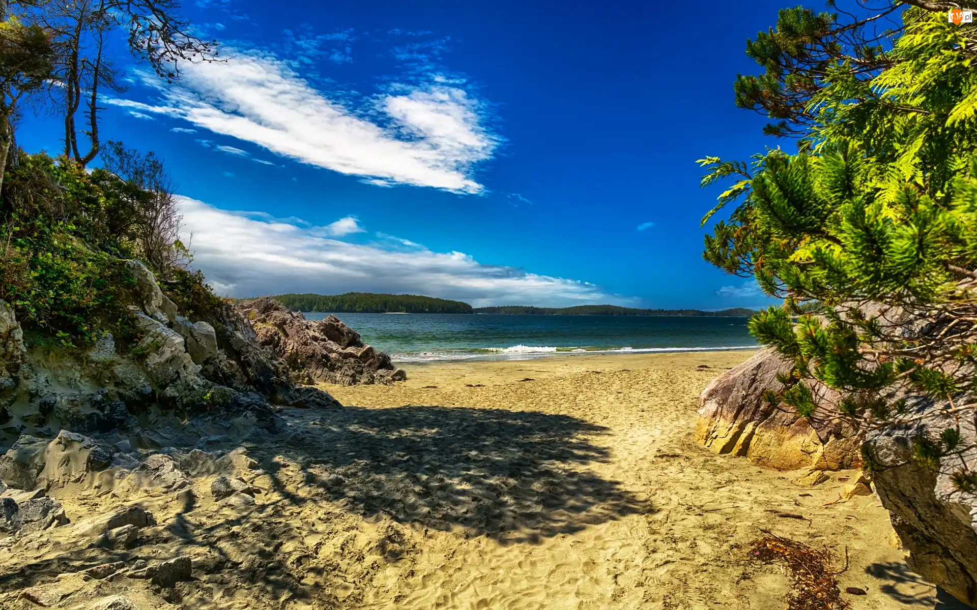 Kolumbia Brytyjska, Tonquin Park, Drzewa, Kanada, Skały, Morze, Plaża Tonquin Beach