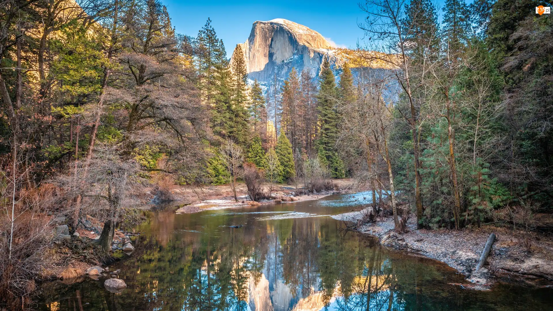 Kalifornia, Park Narodowy Yosemite, Drzewa, Stany Zjednoczone, Rzeka Merced River, Szczyt El Capitan, Góry Sierra Nevada