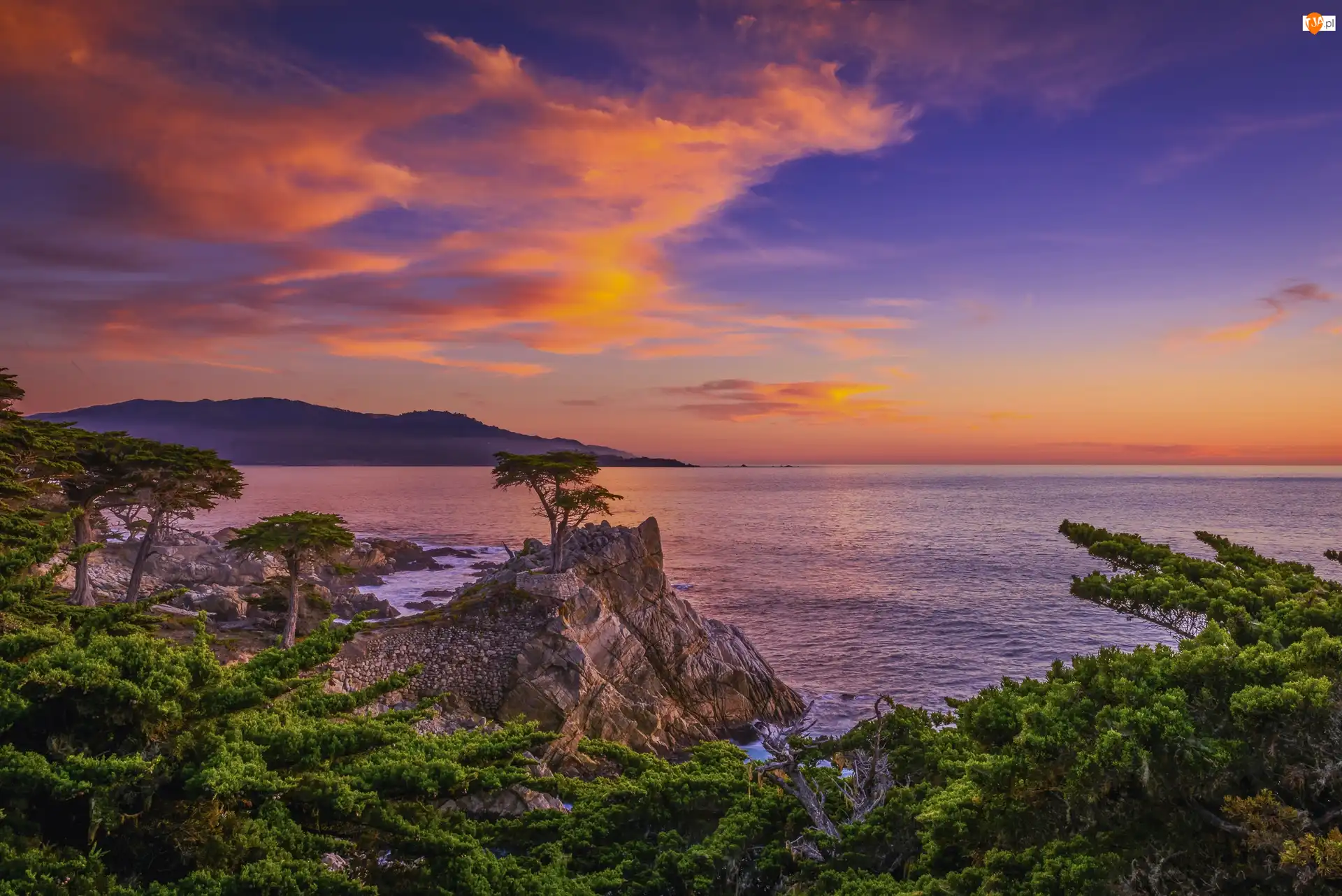 Carmel Bay, Drzewa, Zatoka, Stany Zjednoczone, Morze, Skały, Zachód słońca, Lone Cypress, Cyprysy, Pebble Beach, Atrakcja, Kalifornia