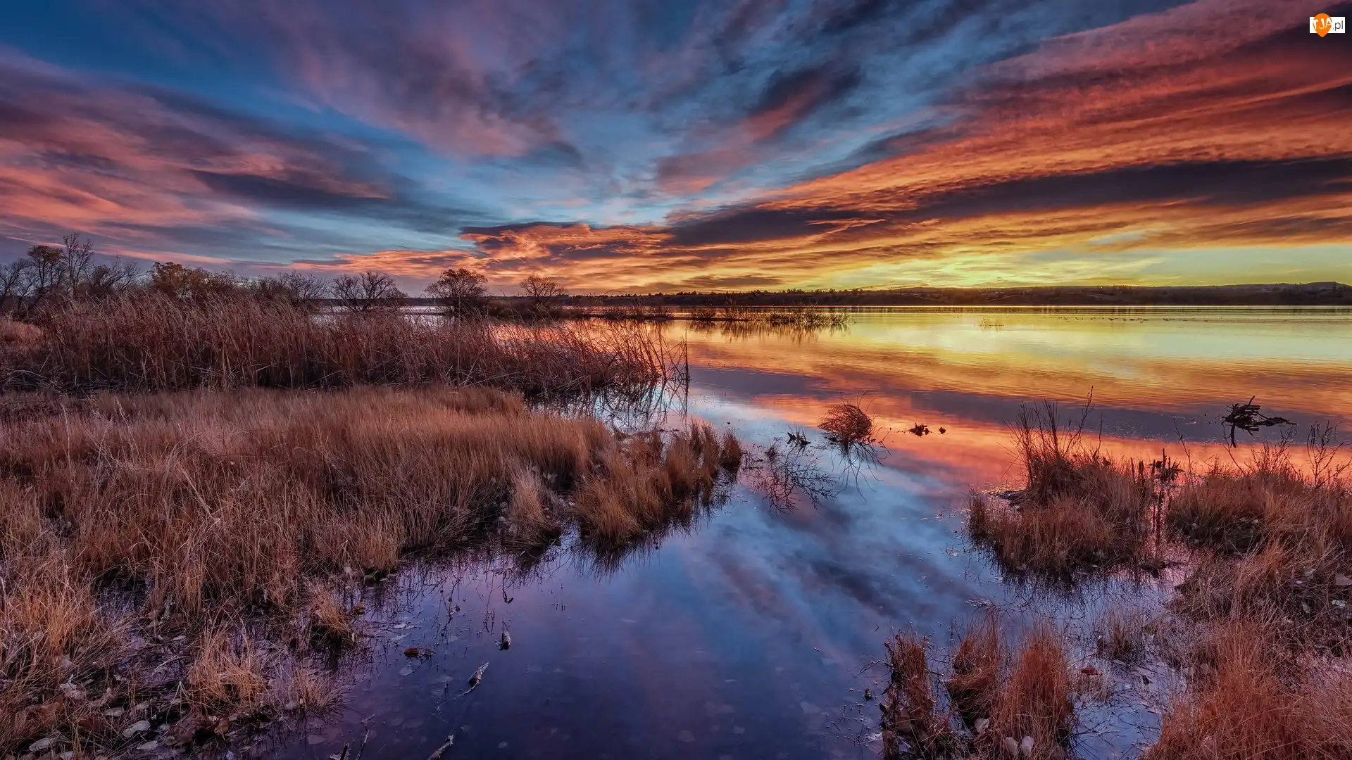 Drzewa, Wschód słońca, Lake Chatfield, Kolorado, Chmury, Trawa, Stany Zjednoczone, Jezioro