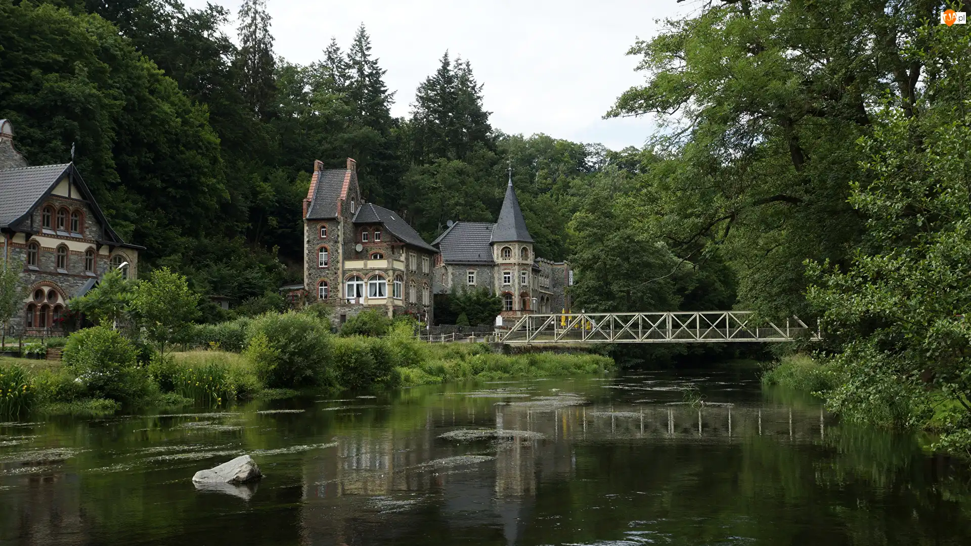 Roslinność, Treseburg, Drzewa, Most, Domy, Saksonia-Anhalt, Niemcy, Hotel Bodeblick, Rzeka