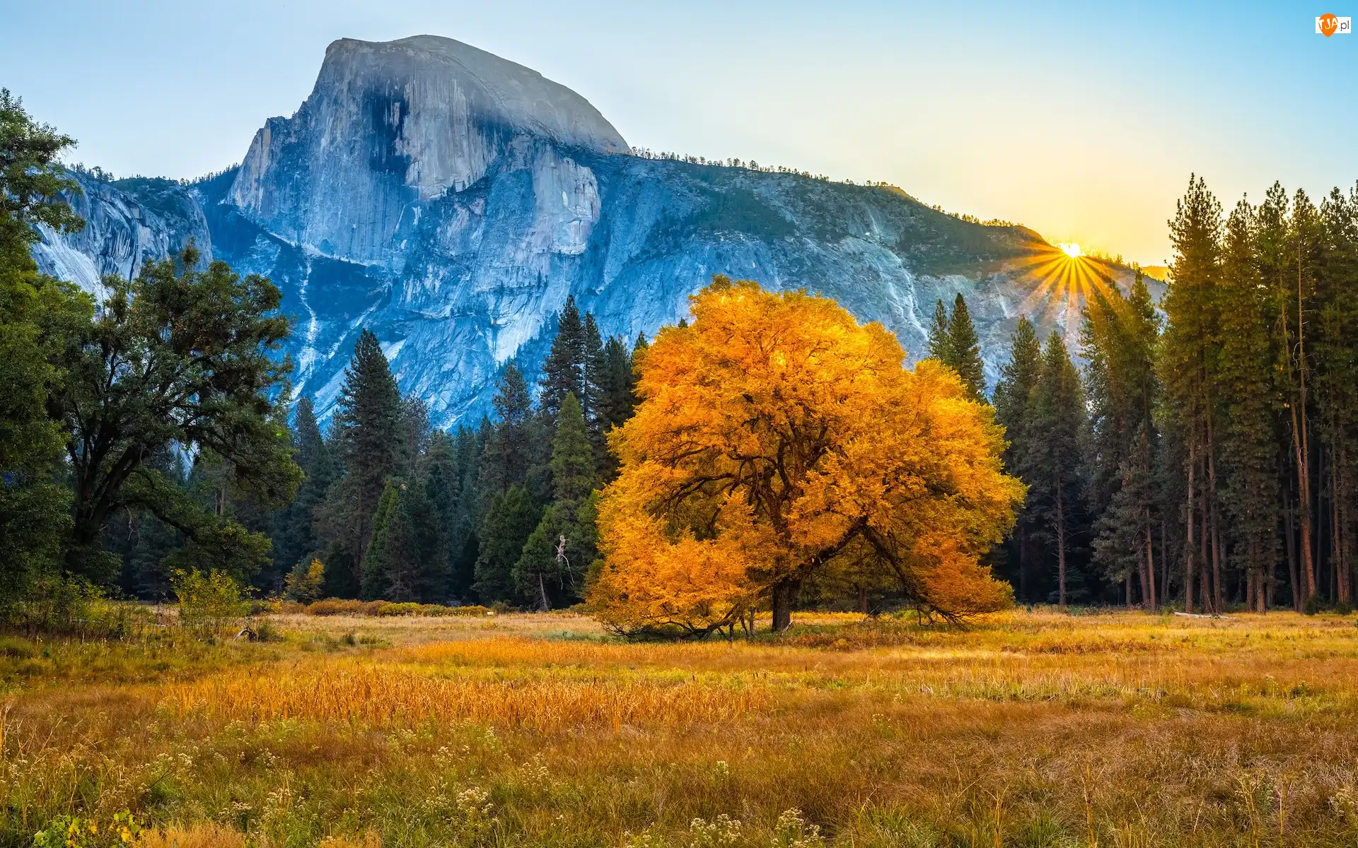 Promienie słońca, Jesień, Drzewa, Stan Kalifornia, Park Narodowy Yosemite, Las, Stany Zjednoczone, Góry