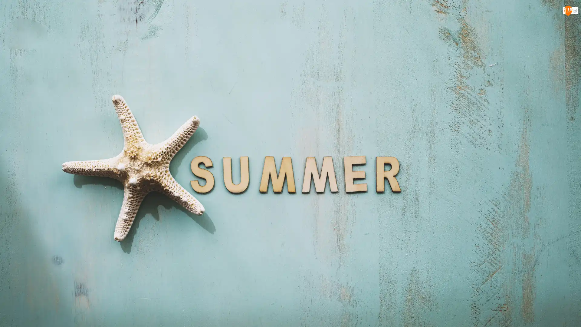 Summer, Napis, Tło, Morska, Niebieskie, Rozgwiazda