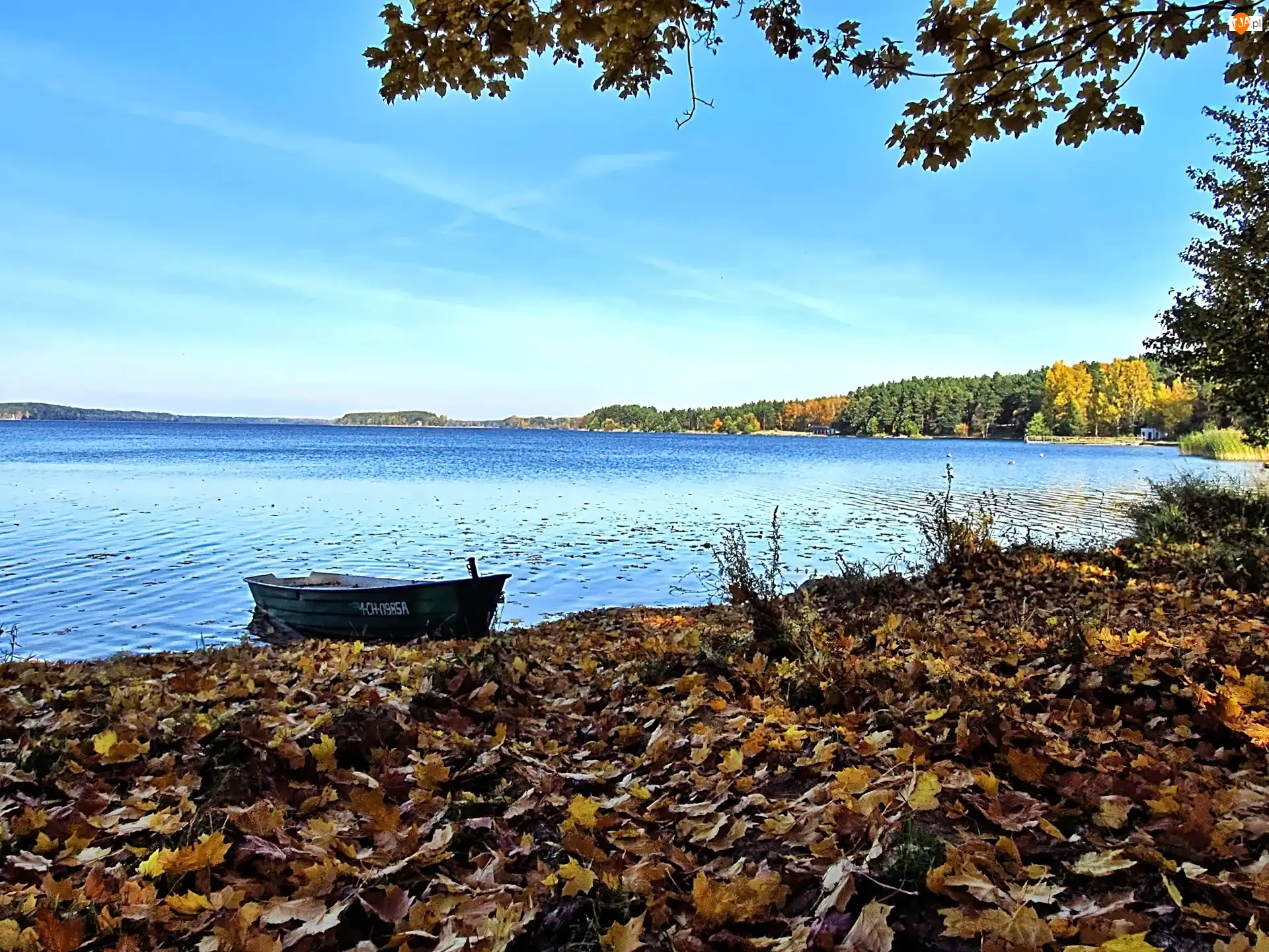 Liście, Jesień, Łódka, Klon, Jezioro, Niebo