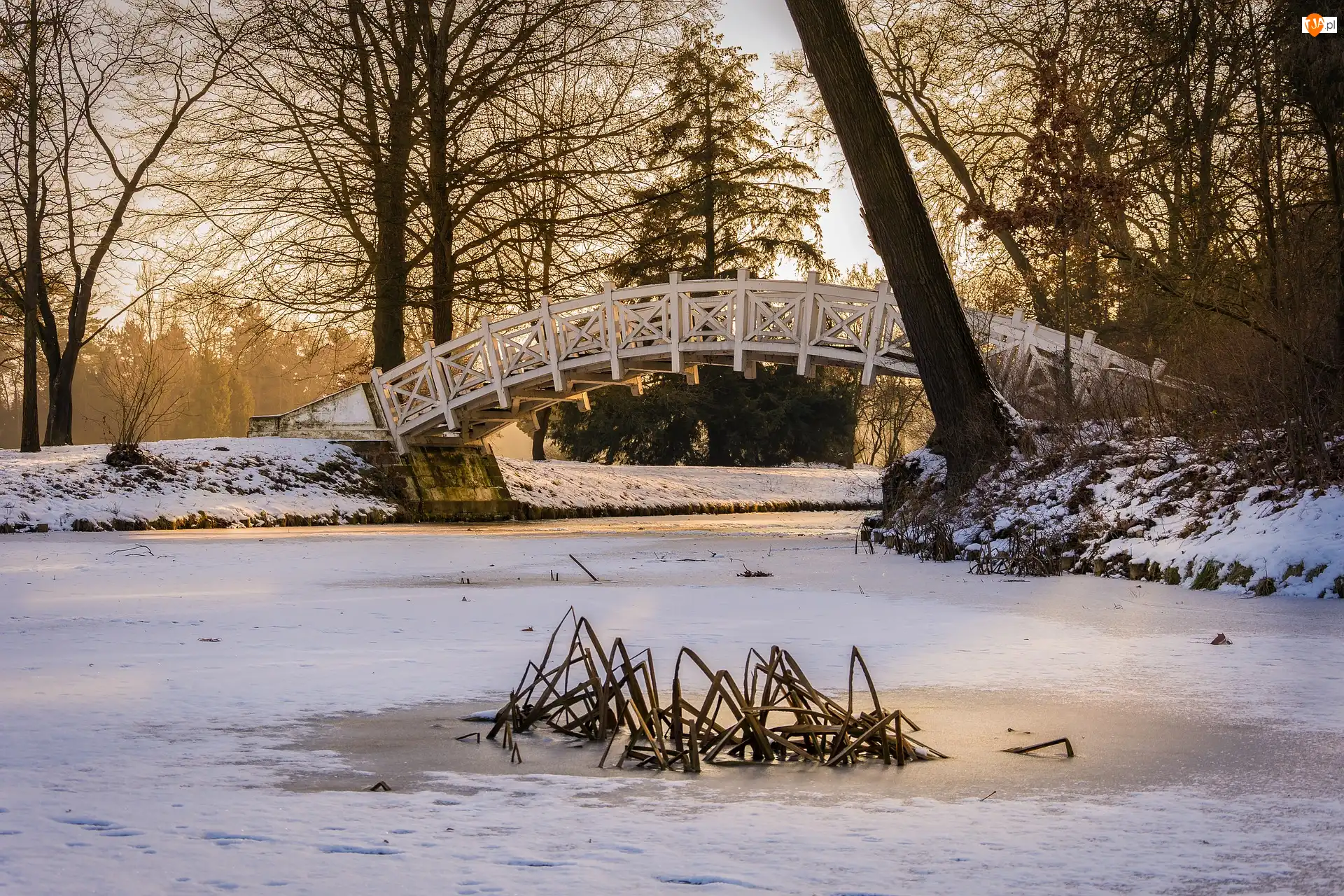 Zaśnieżony, Zima, Niemcy, Staw, Park Worlitz, Drzewa, Mostek, Saksonia-Anhalt