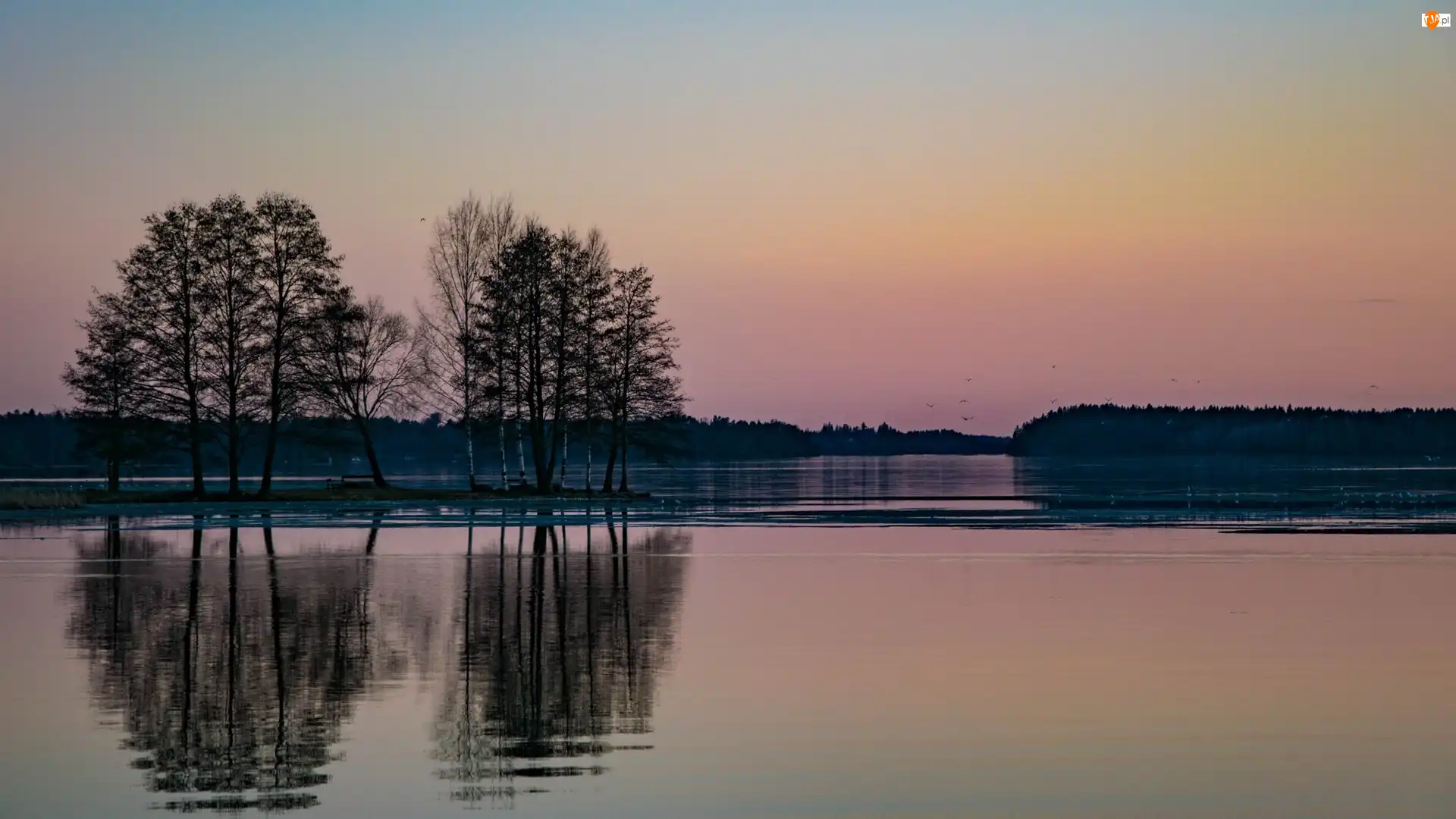 Słońca, Wschód, Las, Odbicie, Jezioro, Lustrzane