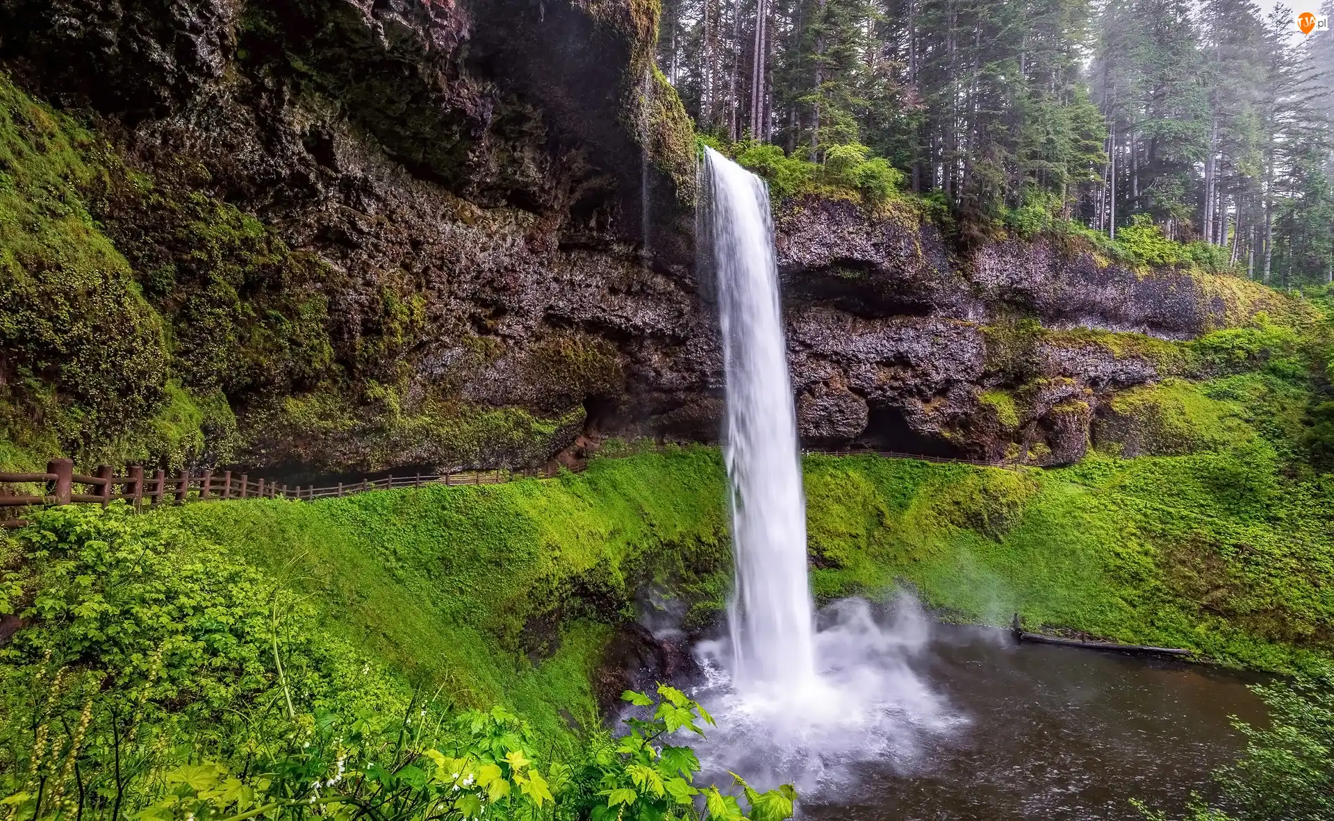 Park stanowy Silver Falls, Wodospad, Drzewa, Stan Oregon, South Falls, Trawa, Stany Zjednoczone, Skały