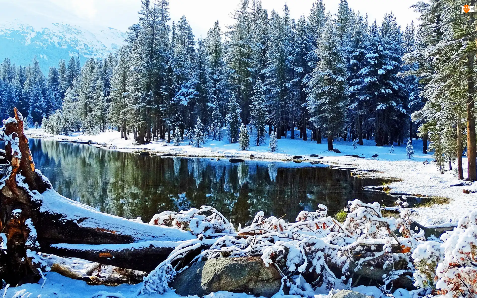 Las, Kłody, Park Narodowy Yosemite, Zima, Śnieg, Kalifornia, Góry, Jezioro, Tioga Lake, Drzewa, Stany Zjednoczone