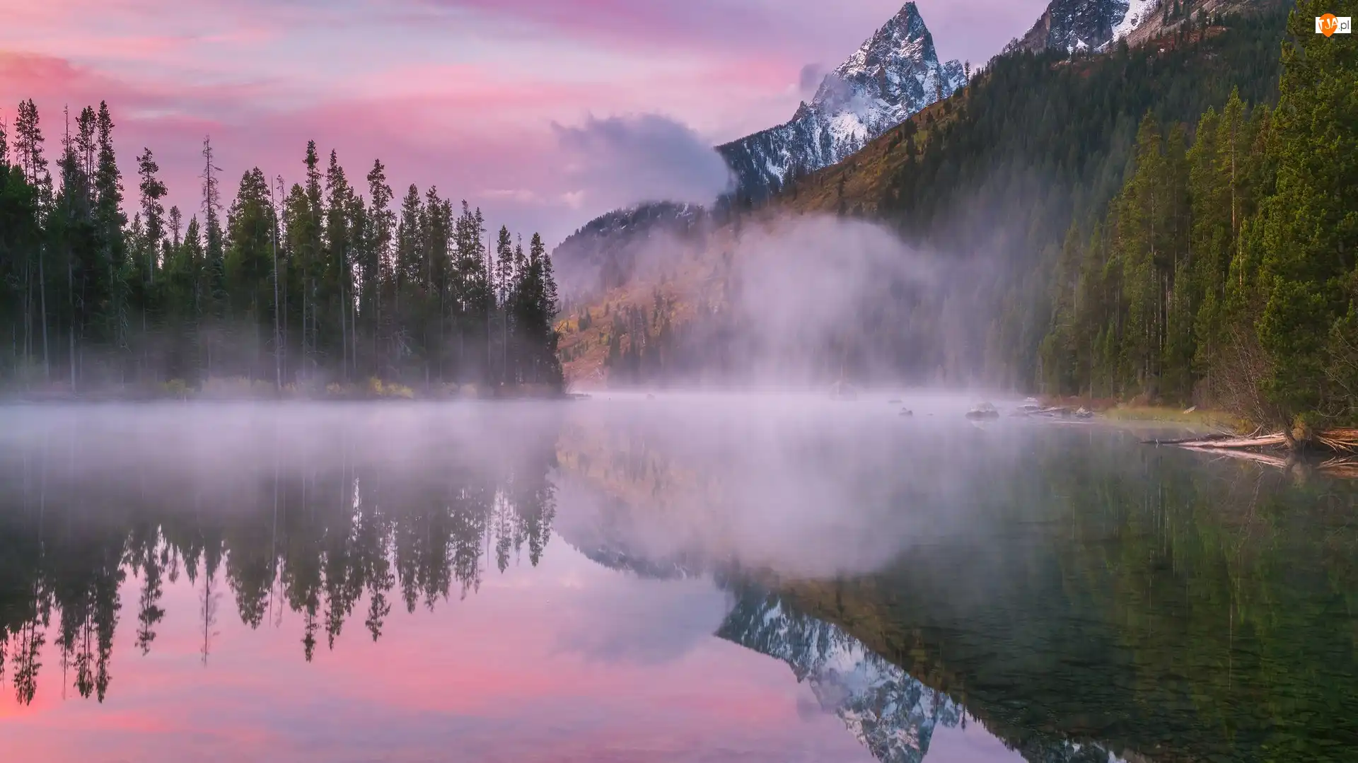 Stany Zjednoczone, Drzewa, Stan Wyoming, Mgła, Park Narodowy Grand Teton, Las, Jezioro, Góry, String Lake