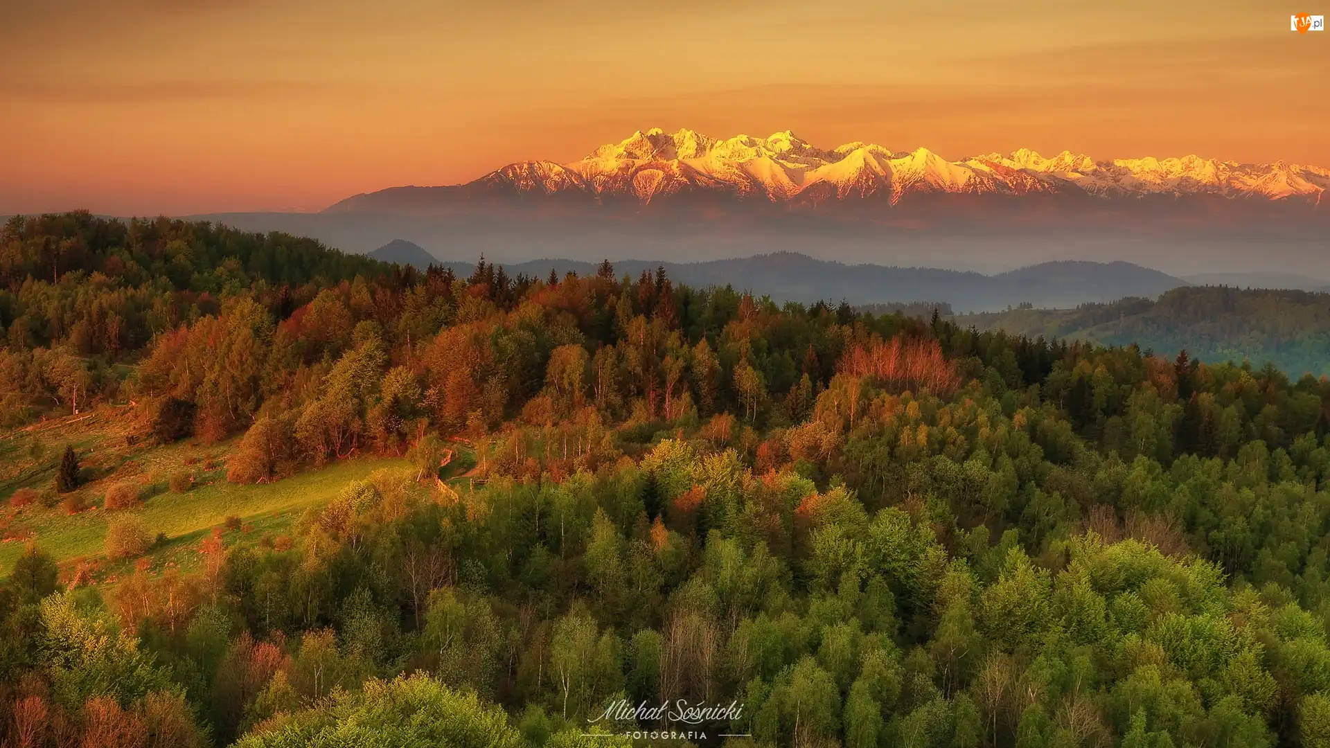 Tatry, Polska, Góry, Las, Wschód słońca