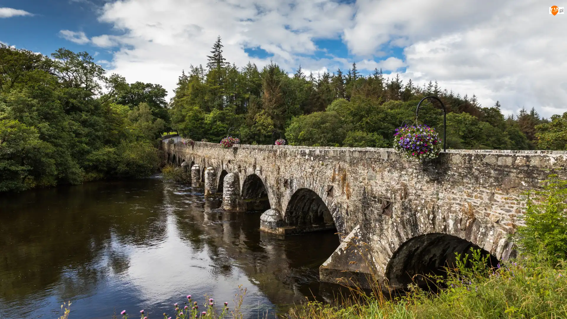 Rzeka, Irlandia, Rzeka Laune, Las, Hrabstwo Kerry, Most kamienny Beaufort Bridge, Drzewa, Wieś Beaufort