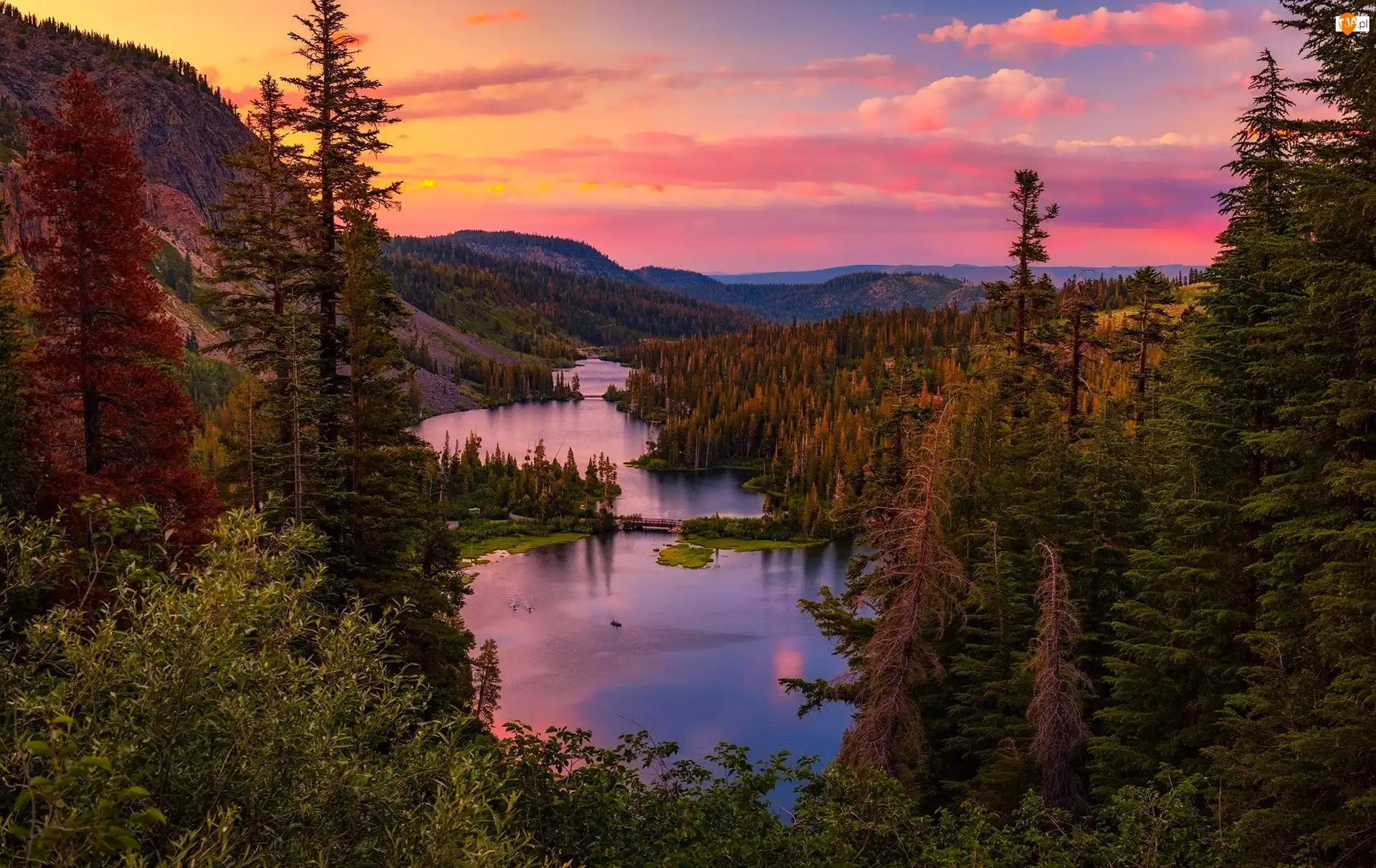 Świerki, Kalifornia, Drzewa, Jeziora Bliźniacze, Zachód słońca, Hrabstwo Mono, Góry, Stany Zjednoczone, Jeziora Twin Lakes