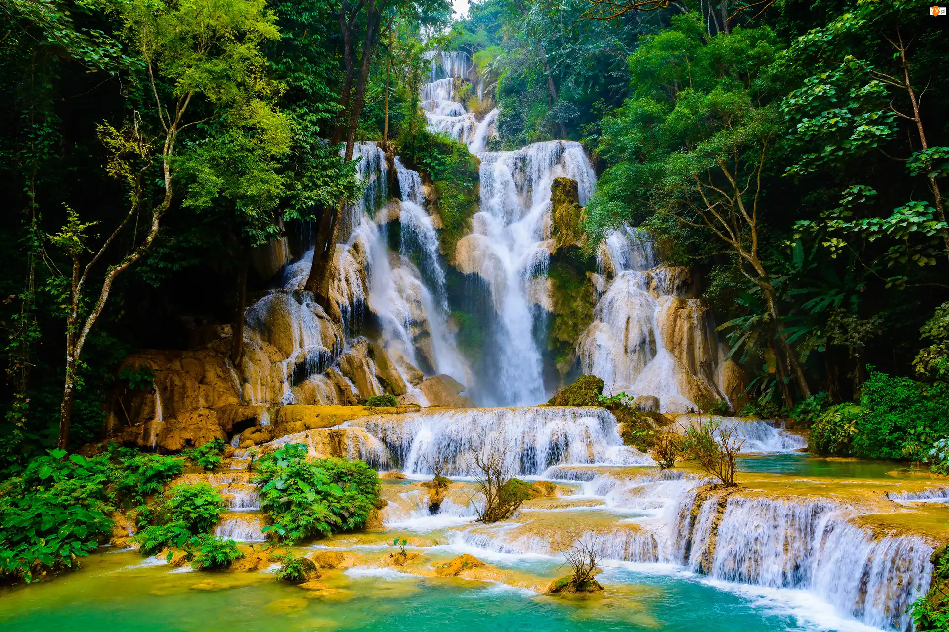 Drzewa, Wodospad, Skały, Prowincja Louangphrabang, Kuang Si Falls, Kaskady, Laos, Drzewa