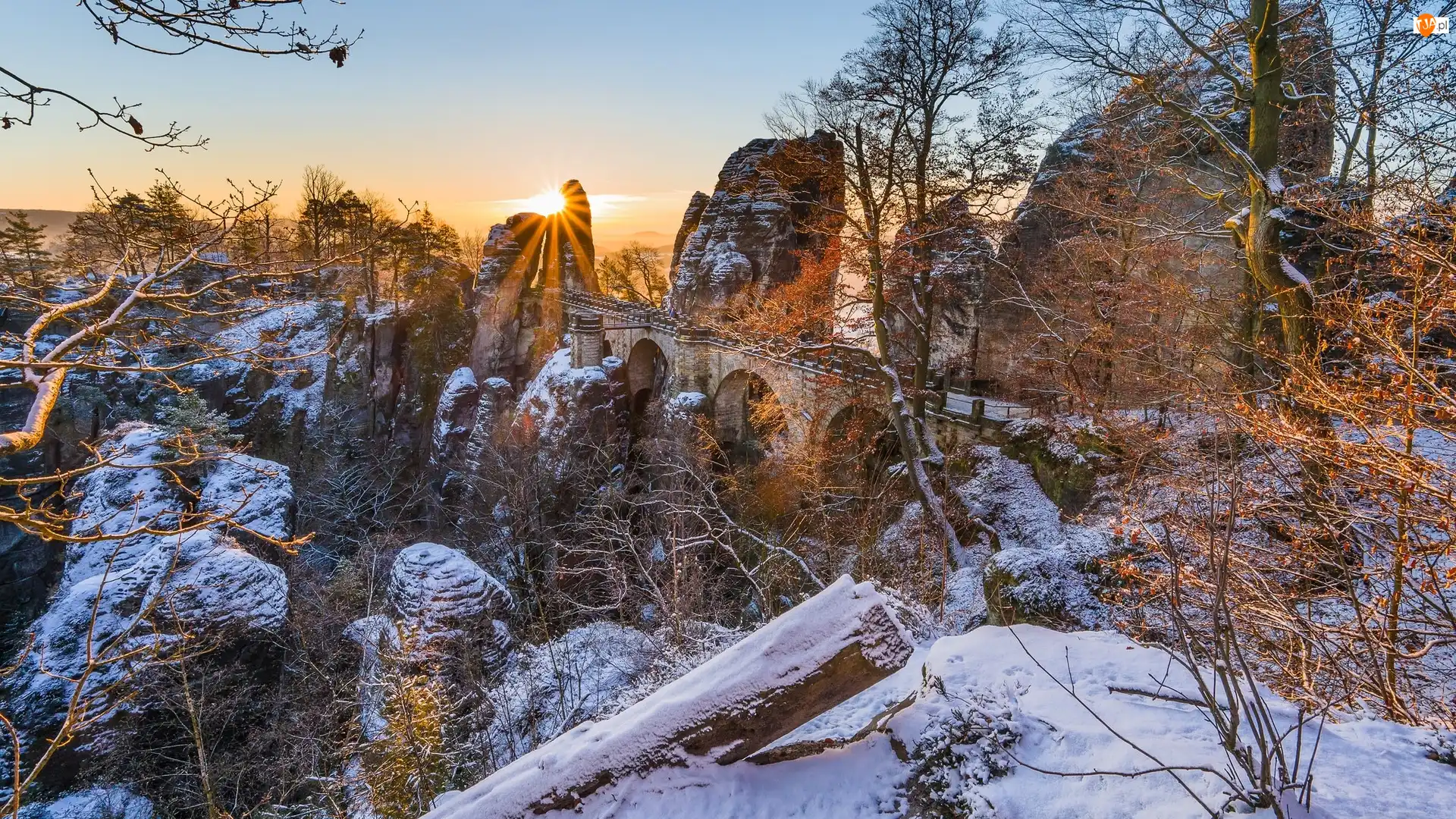 Most, Skały, Niemcy, Zima, Park Narodowy Saskiej Szwajcarii, Drzewa, Formacja Bastei