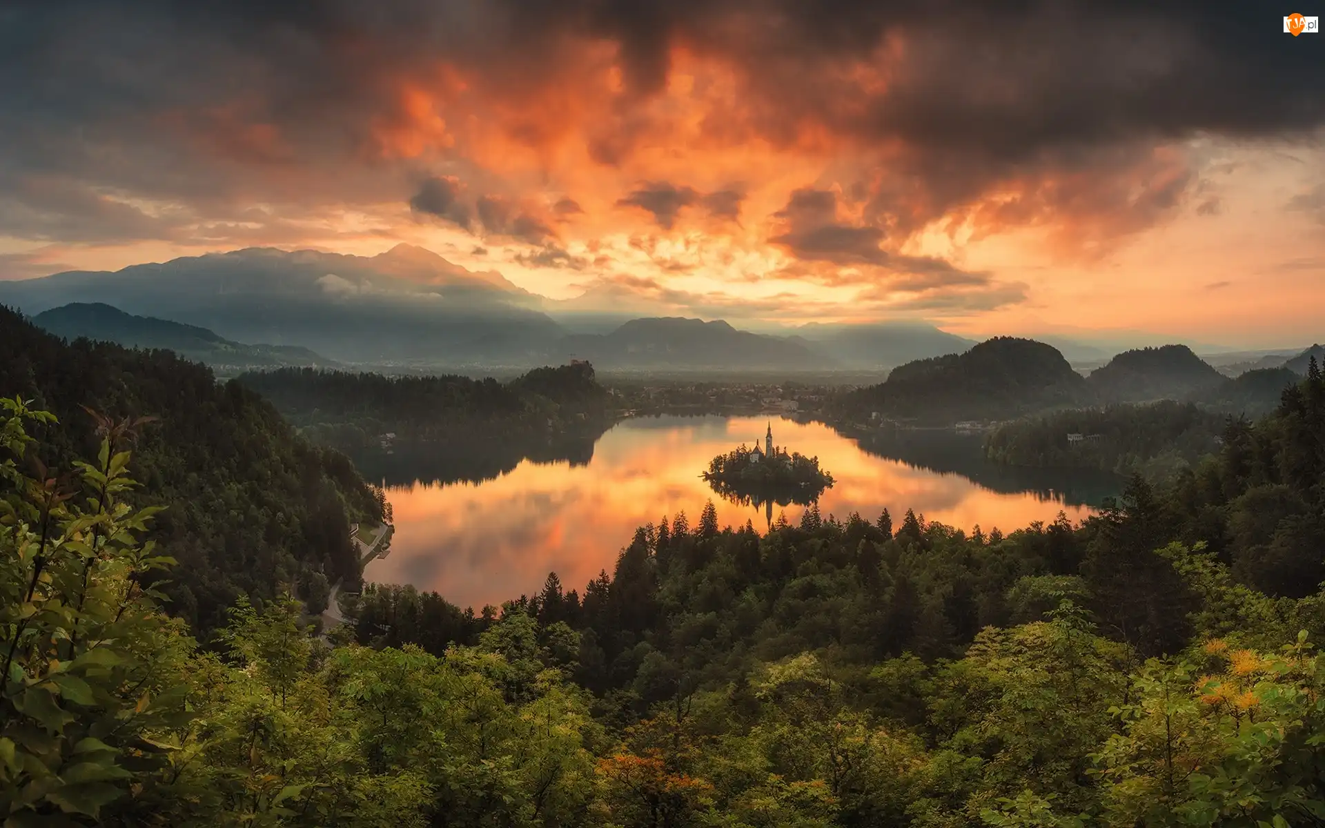 Drzewa, Wschód słońca, Mgła, Lasy, Wyspa Blejski Otok, Słowenia, Alpy Julijskie, Góry, Jezioro Bled, Chmury