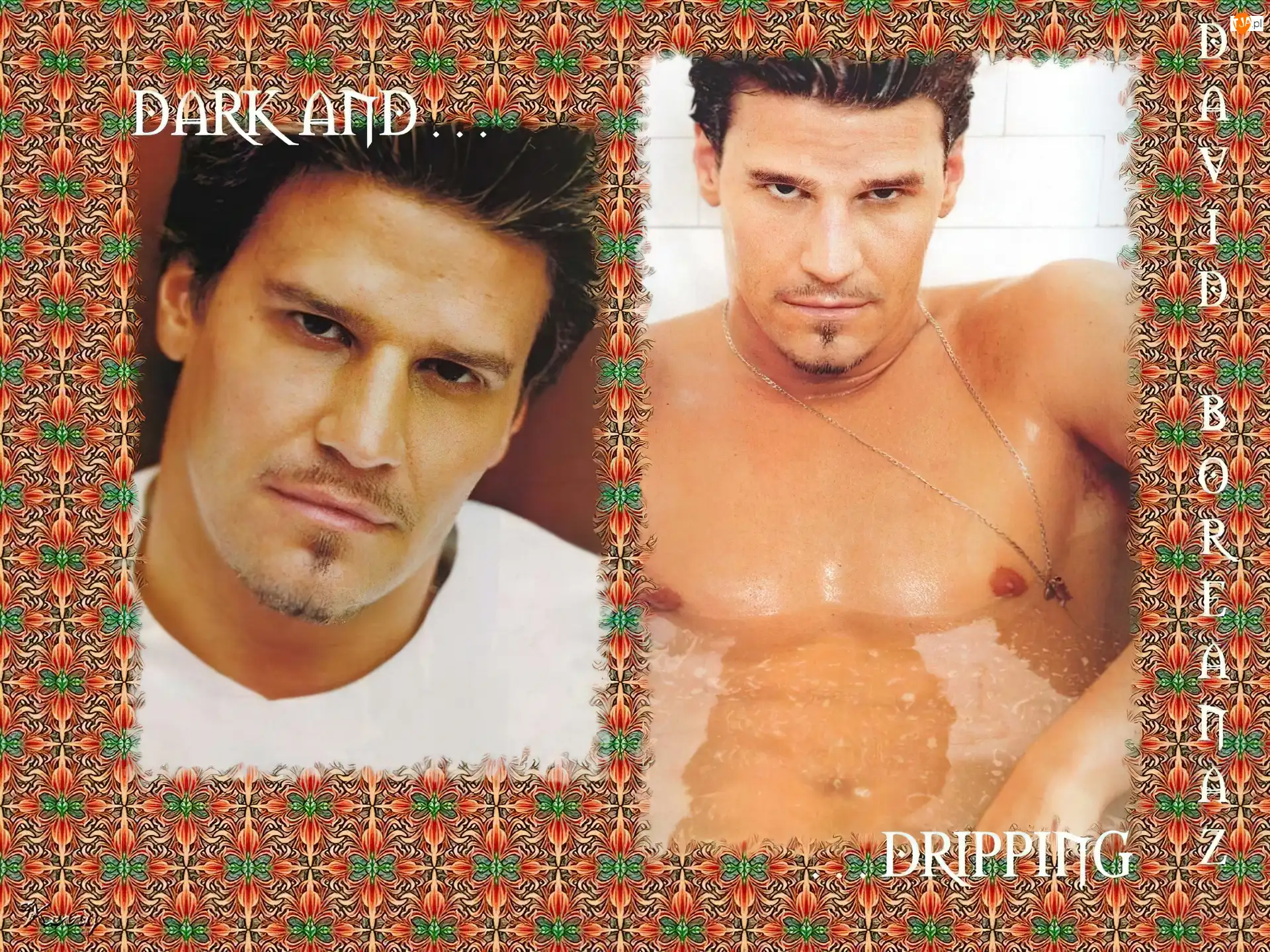 srebrny łańcuszek, David Boreanaz