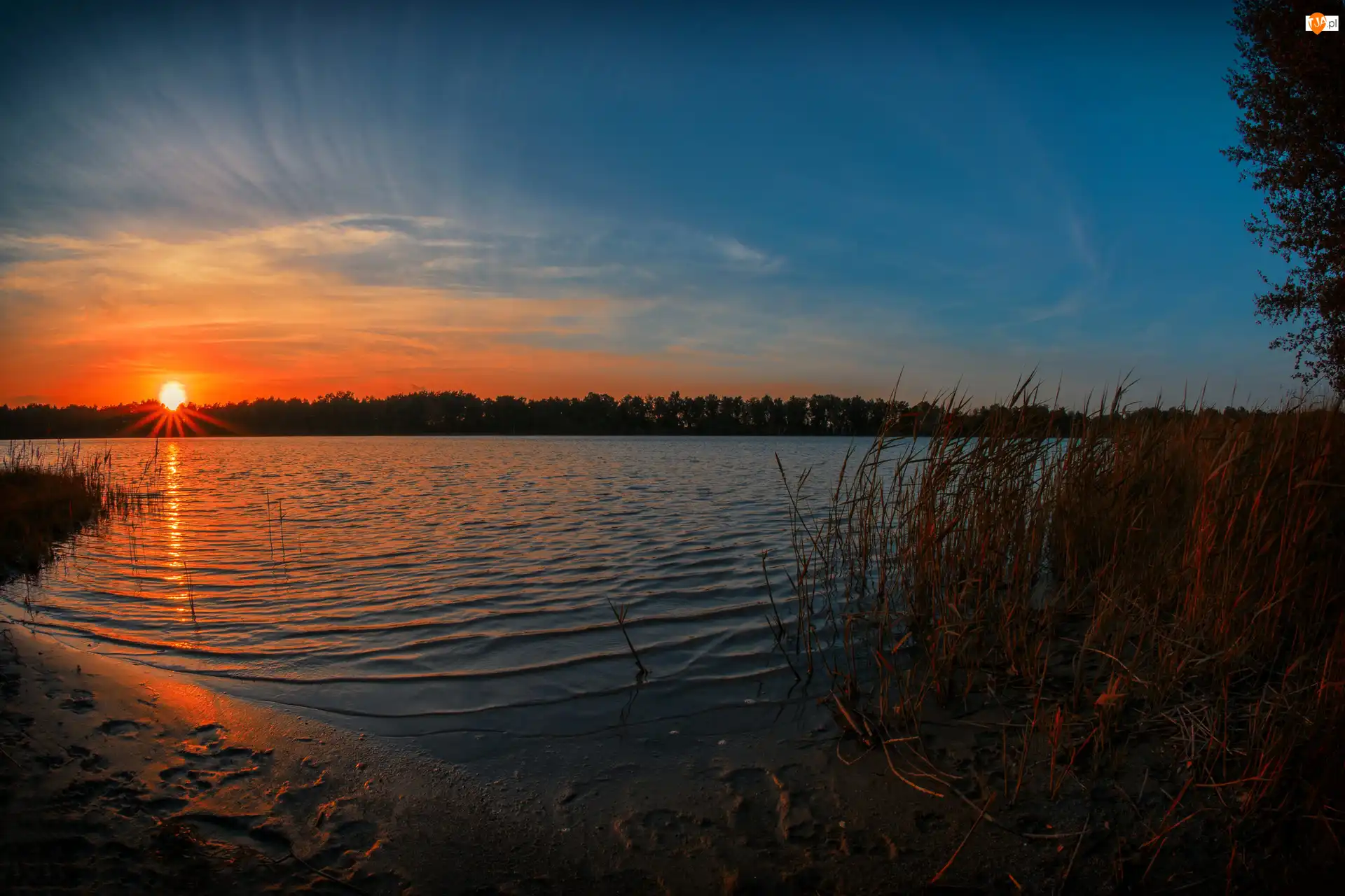 Trzciny, Jezioro, Zachód, Słońca