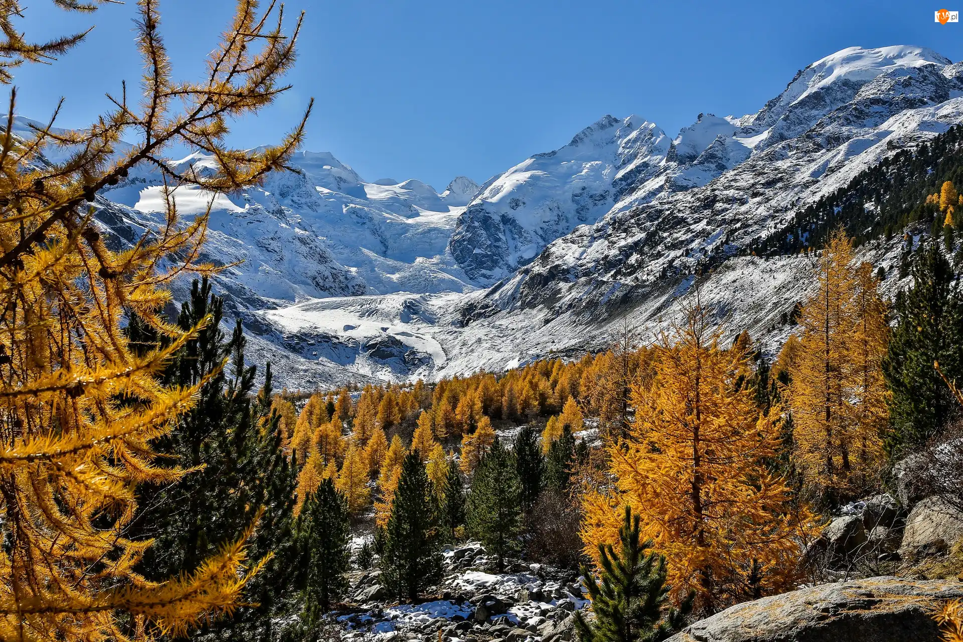 Kanton Gryzonia, Lodowiec Morteratschgletscher, Śnieg, Szwajcaria, Drzewa, Góry Alpy Retyckie, Masyw Bernina