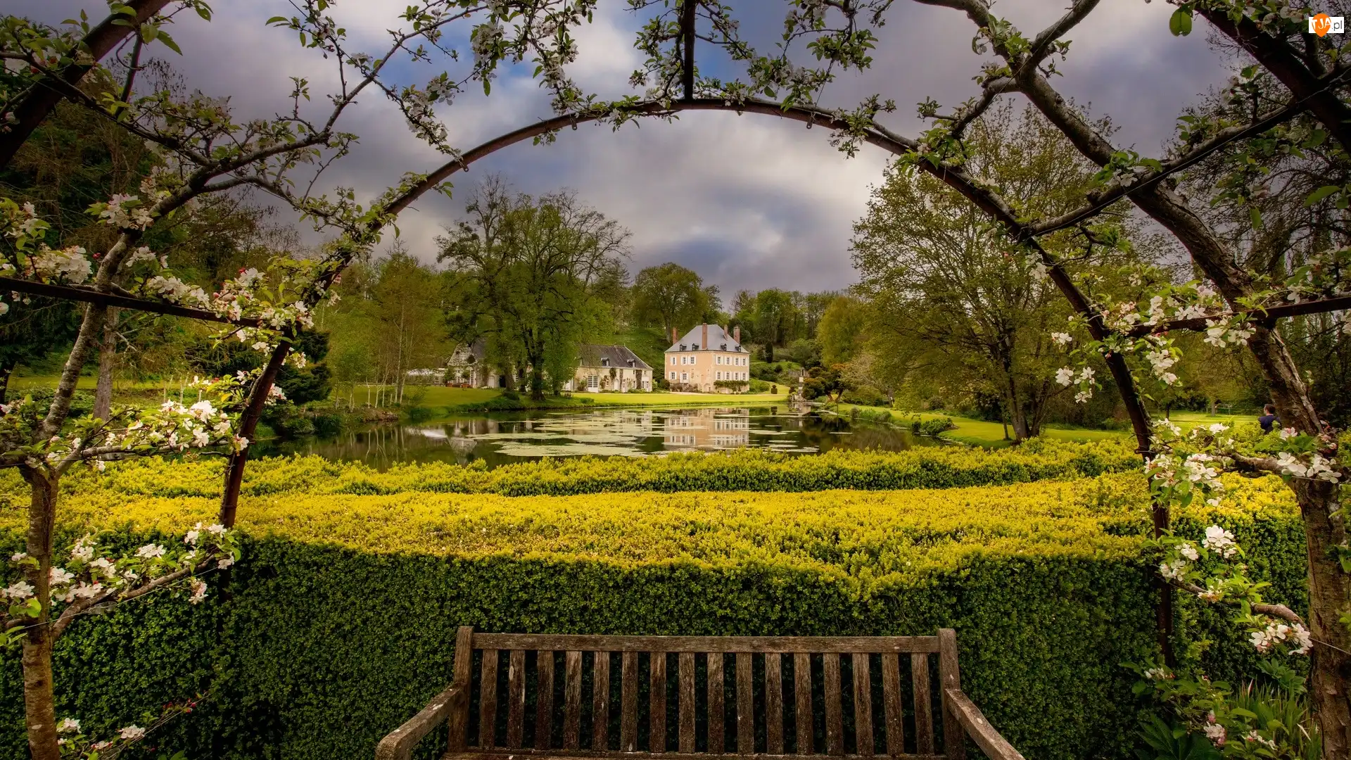 Ogród, Pergola, Domy, Ławka, Staw, Drzewa, Kwitnące