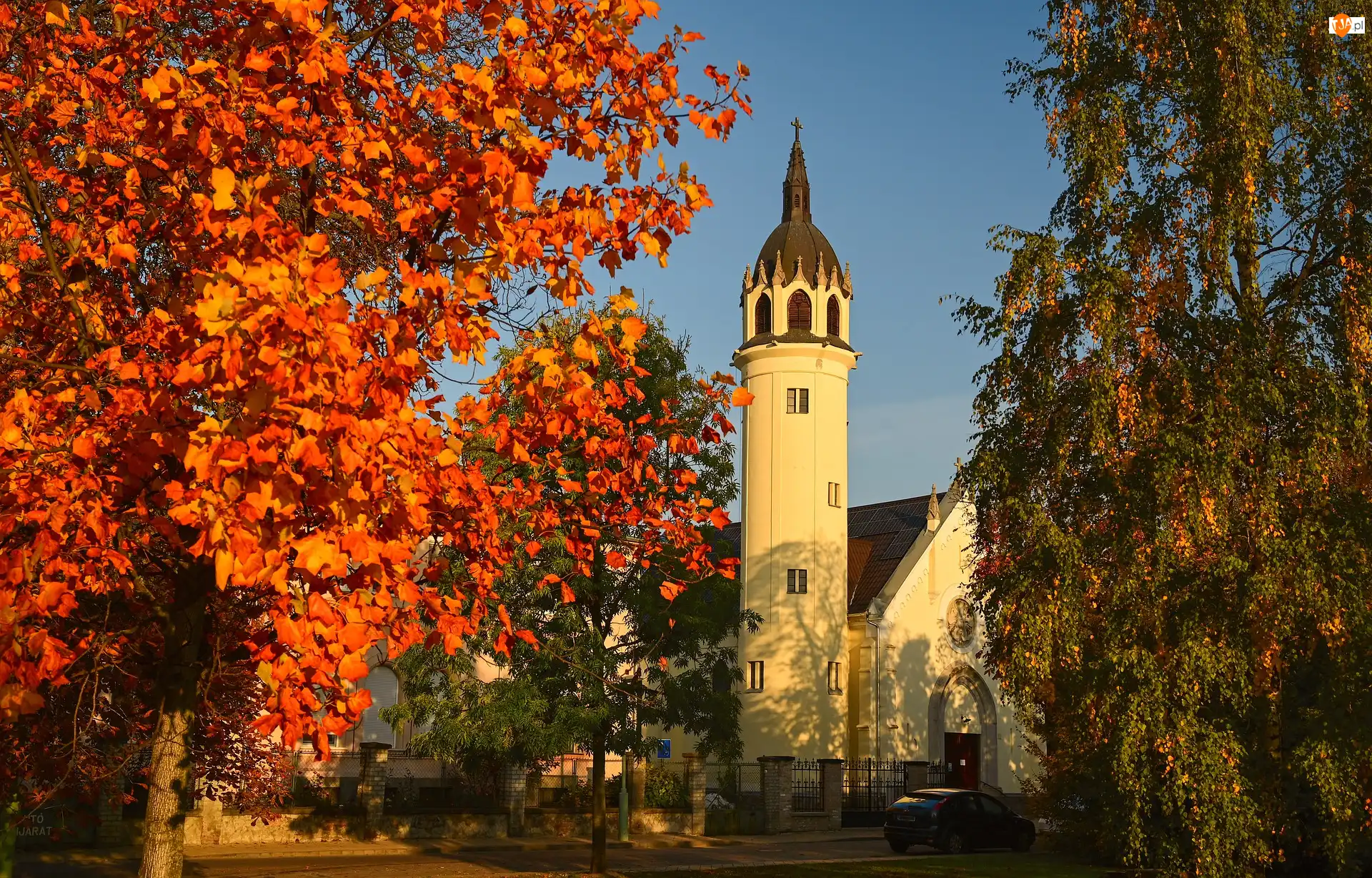 Drzewa, Budowle, Węgry, Jesień, Szolnok, Lutheran Church, Kościół