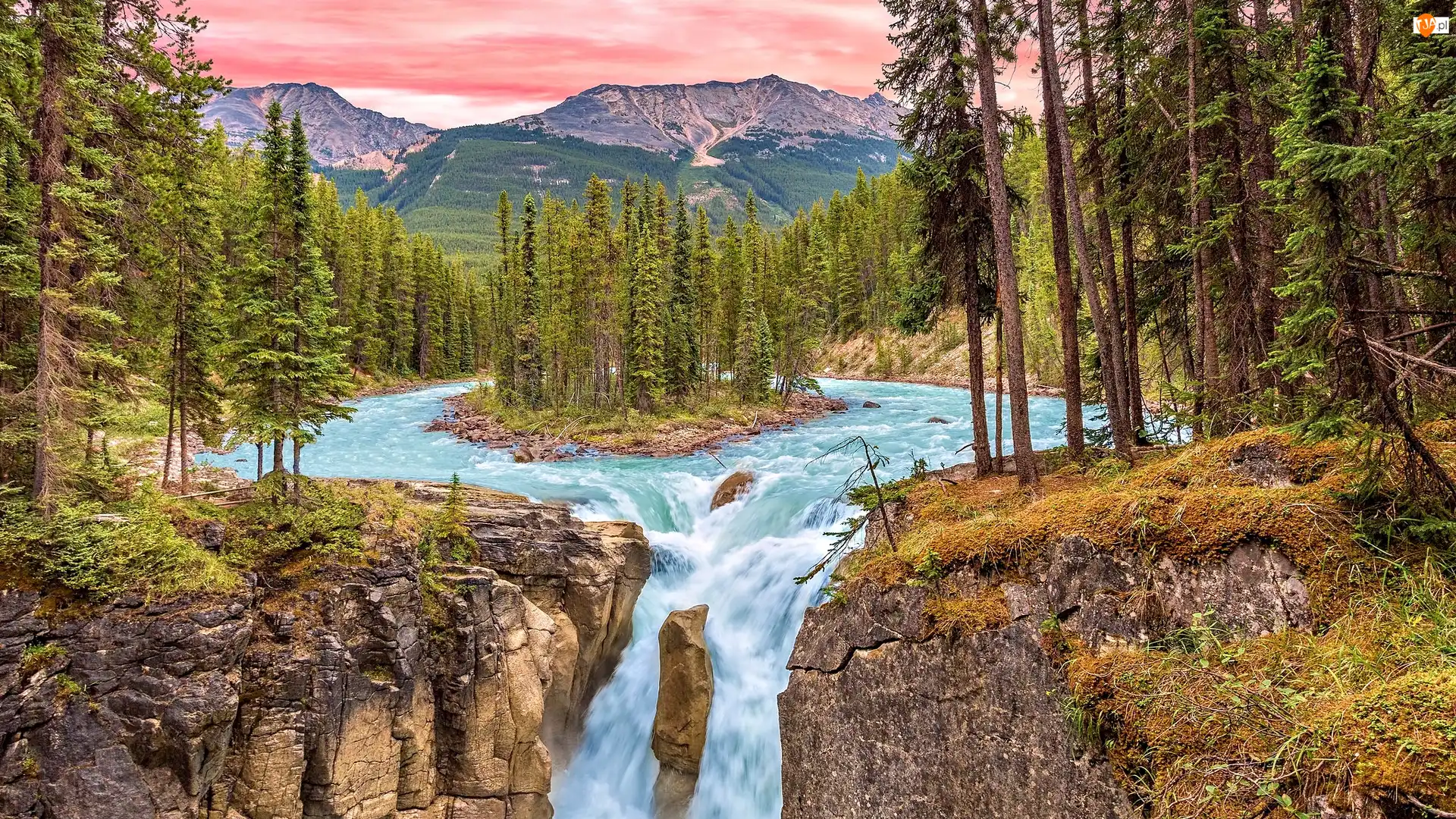 Drzewa, Wodospad Sunwapta Falls, Skały, Prowincja Alberta, Rzeka Sunwapta, Góry, Kanada, Park Narodowy Jasper