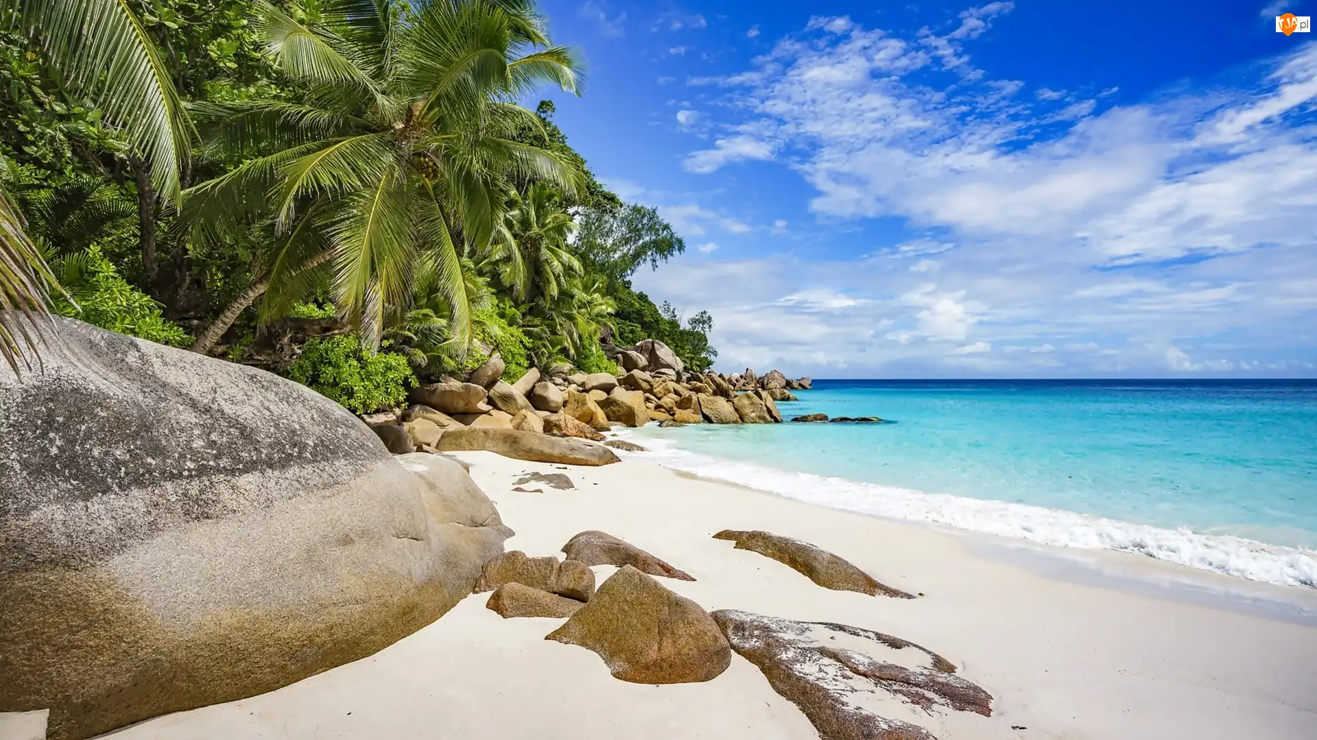 Skały, Seszele, Plaża, Palmy, Wyspa Praslin, Anse Georgette, Tropiki, Morze
