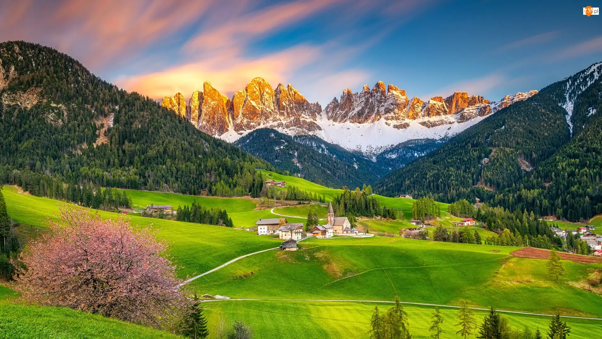 Dolina, Domy, Okwiecone, Lasy, Dolomity, Drzewo, Wieś, Santa Maddalena, Val di Funes, Drzewa, Góry, Wiosna, Włochy, Kościół