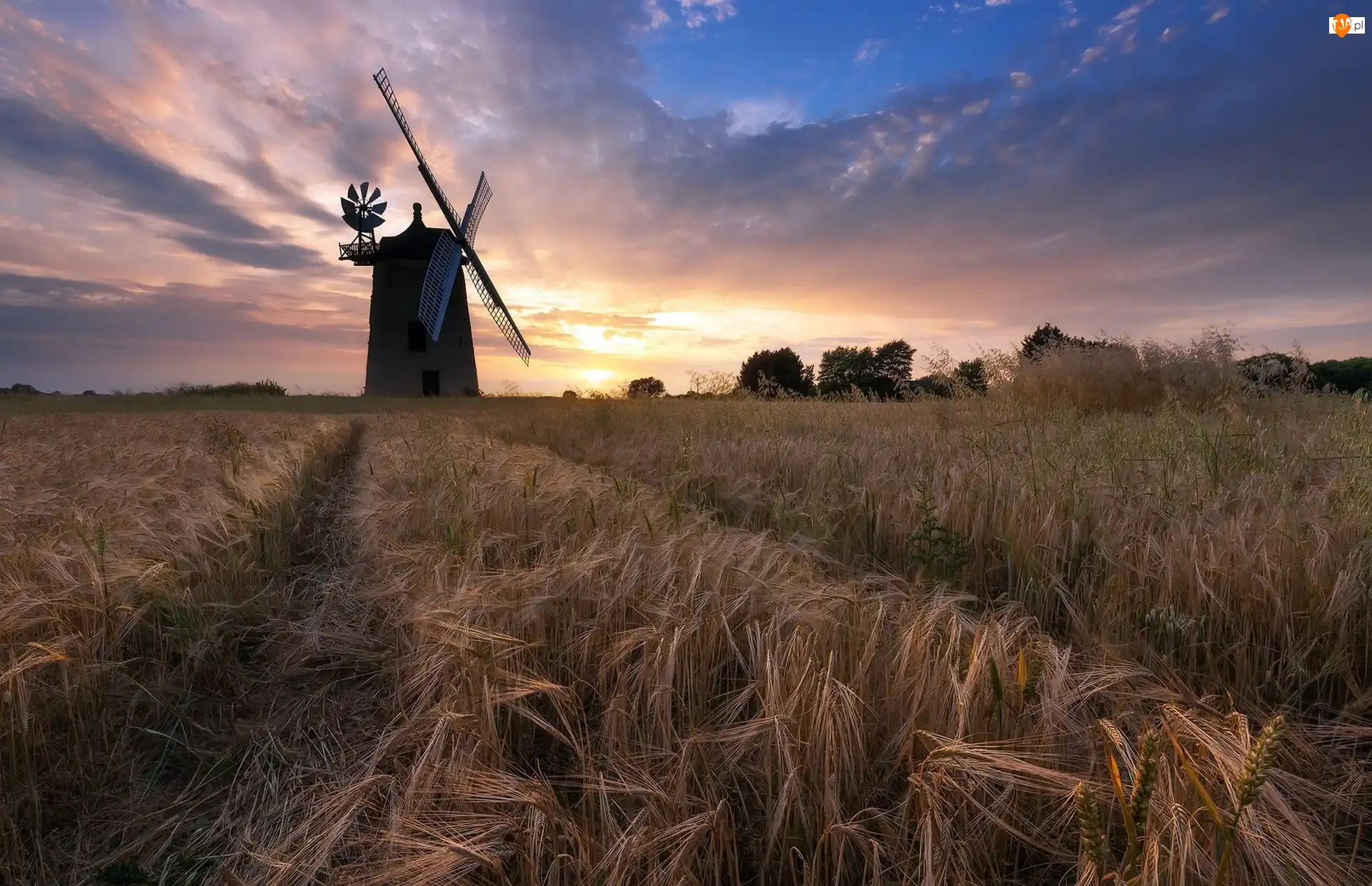 Wiatrak, Pole, Great Haseley, Anglia, Zachód słońca, Hrabstwo Oxfordshire