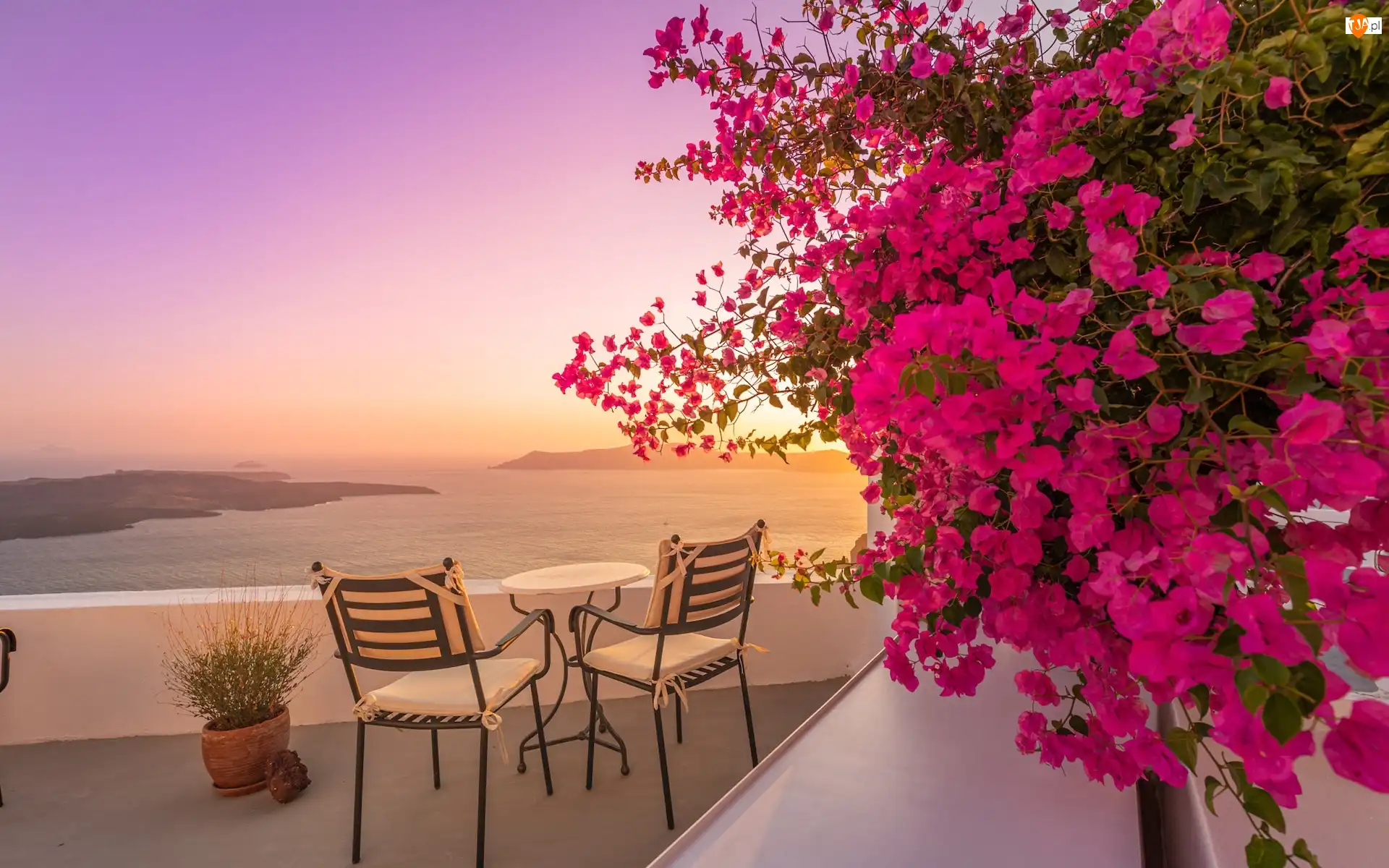 Santorini, Grecja, Krzesła, Bugenwilla, Taras, Kwiaty