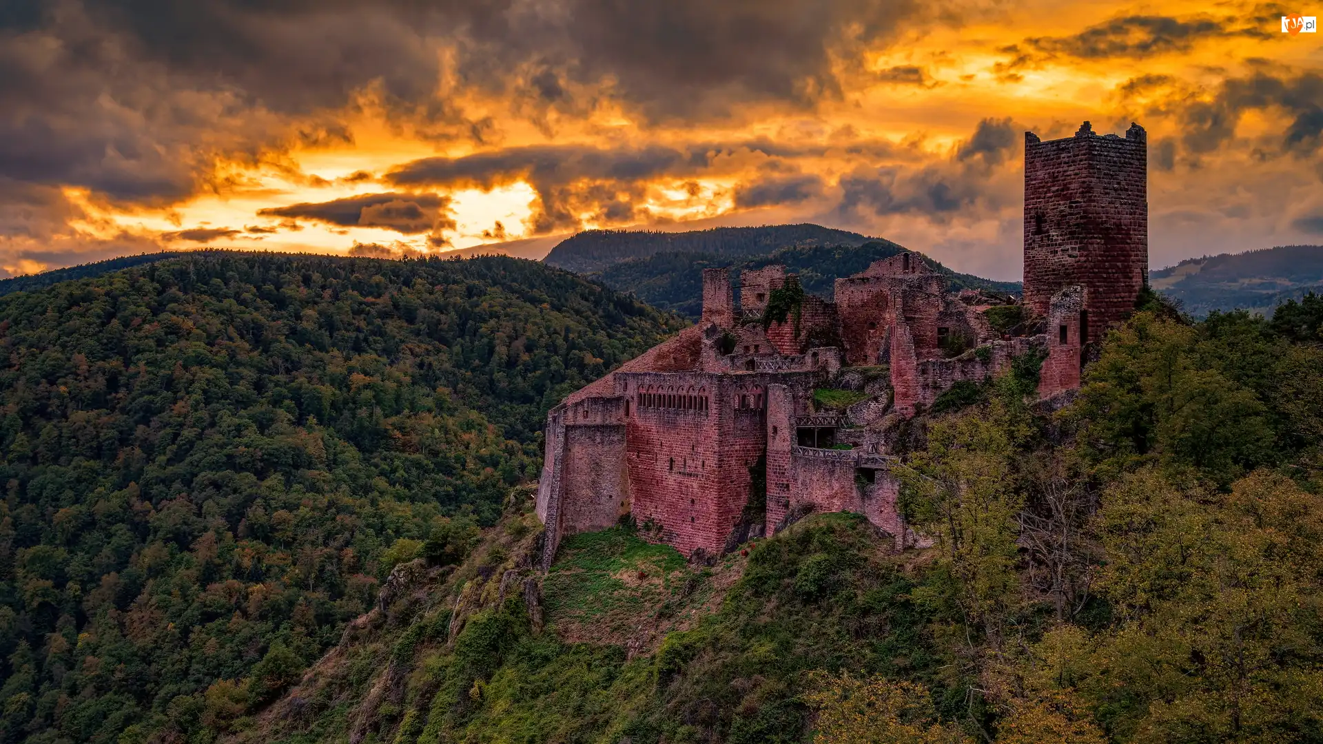 Francja, Zamek, Ribeauville, Zachód słońca, Chmury, Castle Saint-Ulrich, Góry, Ruiny, Lasy