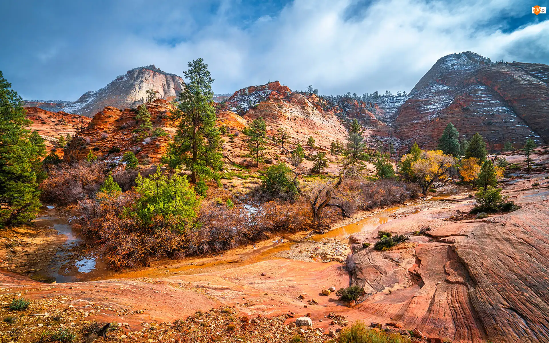Skały, Stany Zjednoczone, Góry, Park Narodowy Zion, Utah