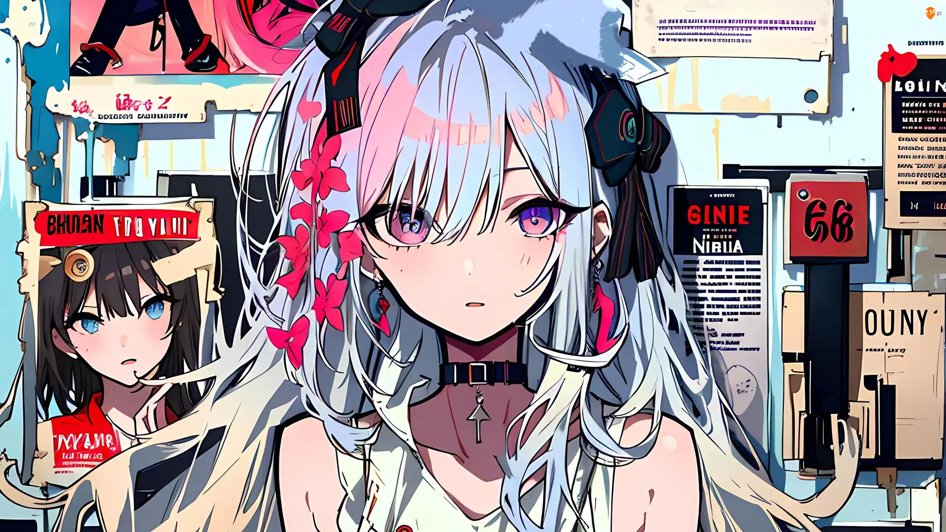 Anime, Dziewczyna, Wycinki