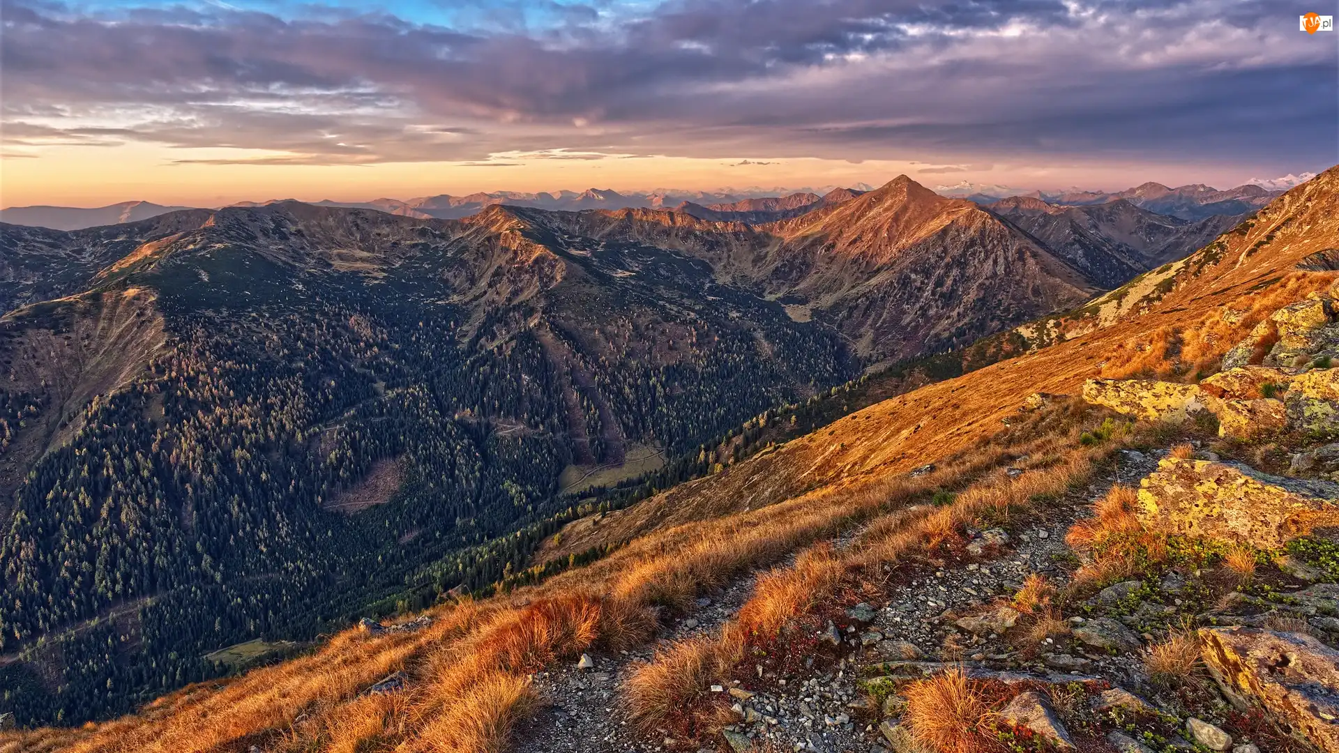 Alpy Berchtesgadeńskie, Rośliny, Austria, Góry, Salzburg, Drzewa, Kamienie